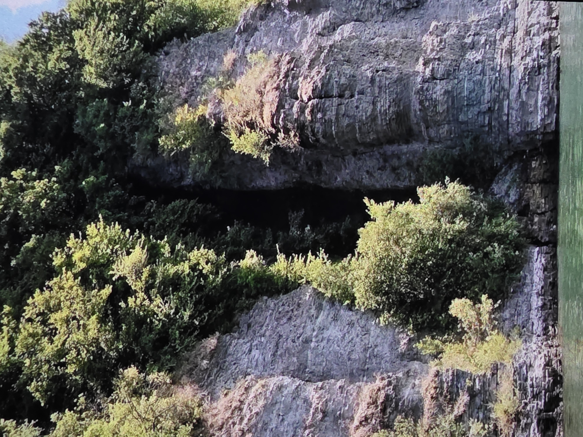 The image shows a rocky cliff face covered in lush green trees. The cliff is made up of horizontal layers of sedimentary rock, appearing grey and textured. Some trees are growing directly out of the rock face, while others form a dense canopy at the top of the cliff. The bottom of the cliff meets a body of calm, green water. The scene appears to be a natural landscape, possibly a section of a lake or riverbank. There are no people or discernible man-made structures visible in the image. The location is not specified as being in Dubno, Ukraine.