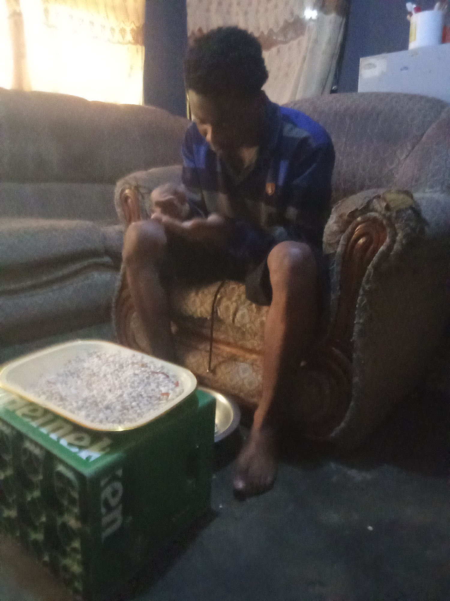 A young Black male is seated on a couch with a tray of what appears to be seeds or grains in front of him. He is wearing a blue and white shirt and dark shorts. His legs are bare from the knees down. The couch appears to be made of a textured fabric in a muted color. To the left of the couch, a green crate with white lettering that reads "Heineken" is visible. A small metal bowl is next to the crate. The background shows a window with curtains and a piece of furniture. The lighting in the room is dim.