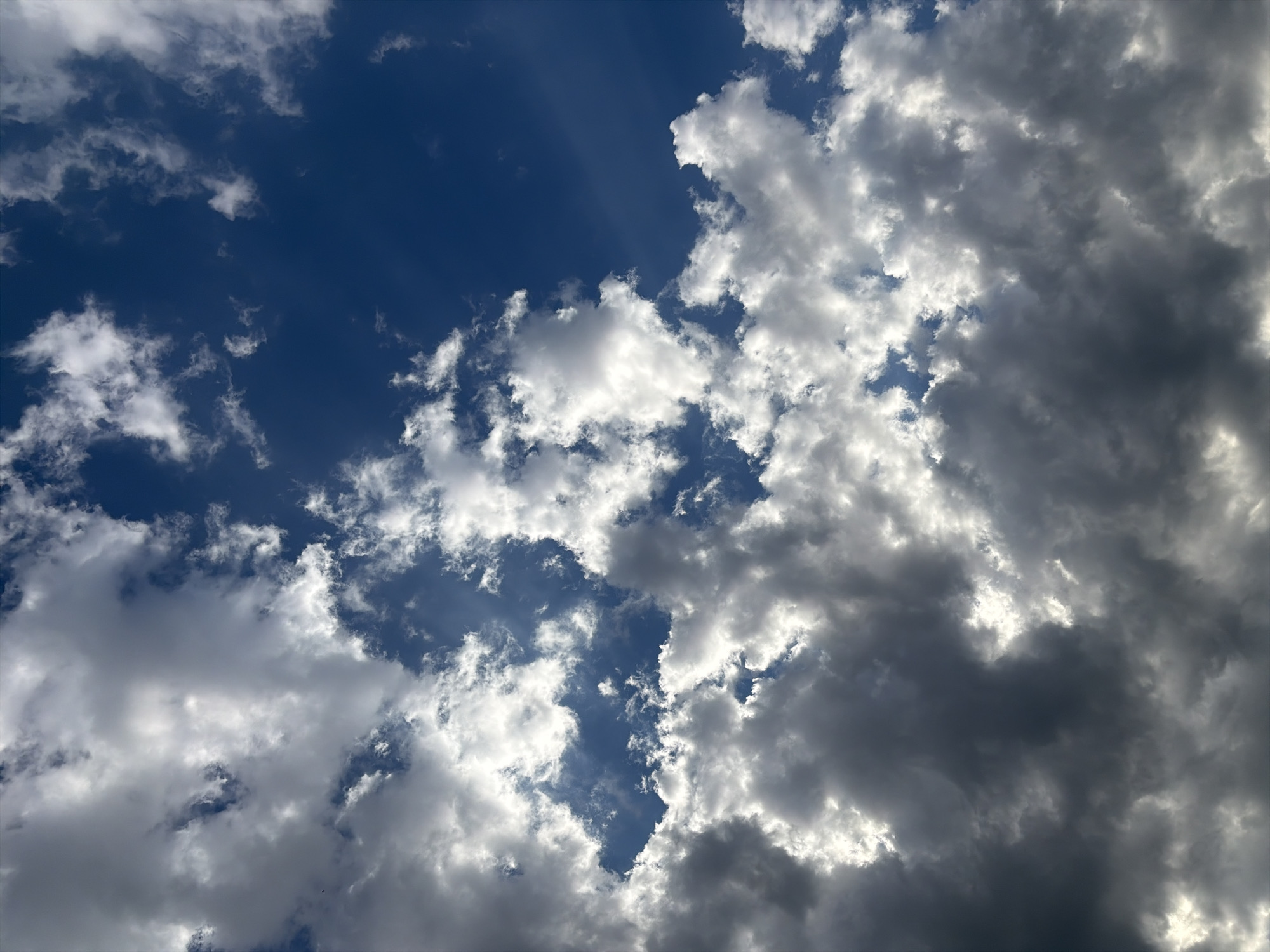This is a low-angle, full-frame shot of a vibrant, deep blue sky filled with a mix of dark gray storm clouds and bright white, sunlit clouds. The clouds are dense and textured, with areas of sunlight breaking through the darker masses, creating a dramatic contrast. The sky appears to be in motion, with the clouds suggesting wind. There are no discernable buildings, landscapes, or people in the image, indicating the photograph was taken from an open area, possibly facing directly upwards. The scene is exclusively focused on the sky and cloud formations.