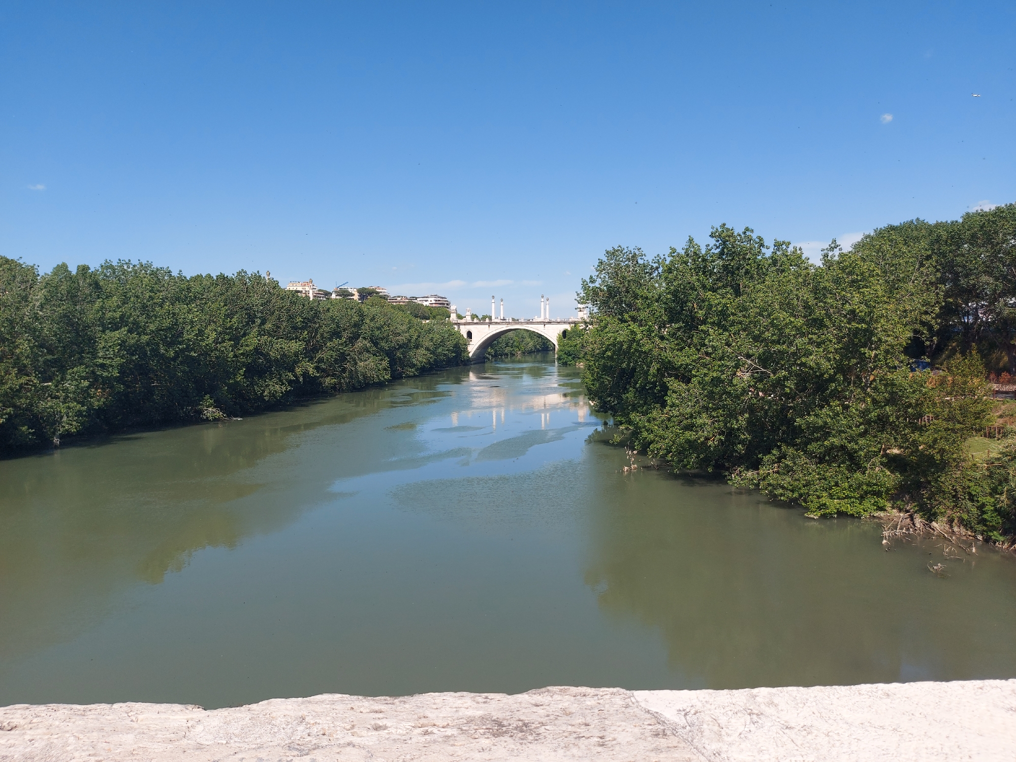 The image depicts the Tiber River in Rome, Italy, with the Ponte Milvio in the background. The river appears calm and greenish-brown in color, reflecting the clear blue sky. Dense green trees line both banks of the river, creating a natural border. The Ponte Milvio is a white stone bridge with multiple arches and decorative columns. Buildings are visible on the distant riverbank. The foreground includes a stone structure. There is no visible human activity.