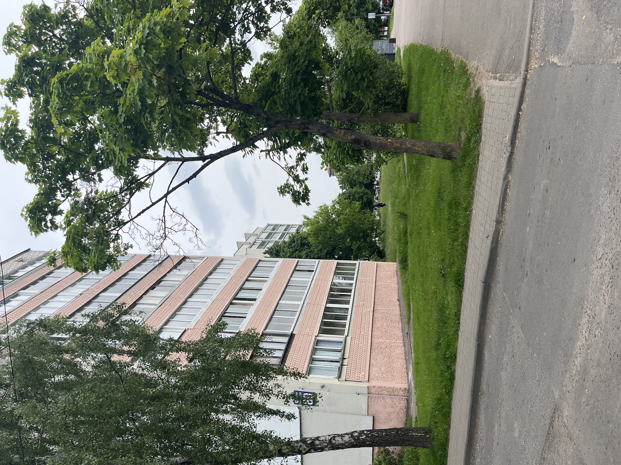 The image depicts an urban outdoor scene, likely a residential area in Minsk, Belarus, as indicated by the visible street sign. The primary subject is a multi-story residential building with a distinctive facade. This building features a pinkish-beige textured exterior, characterized by long rows of windows separated by diagonal bands of a similar textured material, possibly small tiles. On the side of this building, a white rectangular sign with blue text is visible, clearly displaying "ул. Есенина" (ul. Esenina - Yesenin Street) and the building number "63".
In the foreground and midground, several large, mature trees with full green foliage provide a natural element to the scene. One tree in the immediate foreground has a lighter, possibly birch-like, trunk, while another large tree dominating the upper left portion of the frame features distinctively lobed leaves, characteristic of an oak. The trees cast shadows, but the overall lighting is diffuse.
A paved asphalt road or pathway runs along the right side of the image, bordered by a grey tiled sidewalk or curb. Between the paved area and the building, there is a strip of green grass, indicating a roadside verge or green space. In the distance, beyond the primary building and trees, another, taller white building can be seen, partially obscured by foliage.
The sky is overcast, suggesting a cloudy day, but it is clearly daytime. There are no people or specific activities clearly visible, contributing to a calm and ordinary atmosphere. The scene captures a typical urban residential environment with a mix of natural elements and architecture.