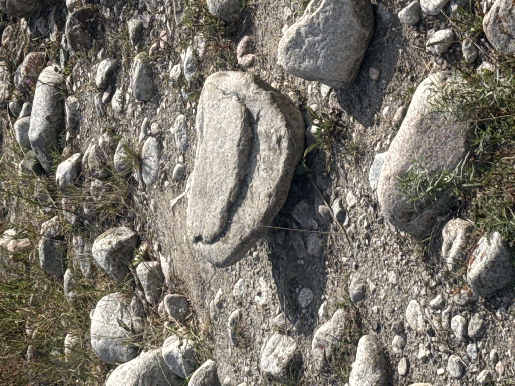 The image depicts a close-up, eye-level view of a rocky, uneven terrain with sparse vegetation. The ground is covered with various sizes of grey and off-white stones, ranging from small pebbles to larger, irregularly shaped rocks. Some of these stones are smooth, while others have a rough texture. Patches of dry, green and brown grass and weeds are scattered throughout the scene, growing between and around the rocks. The lighting suggests it is daytime, with shadows cast by the larger stones, indicating a clear sky. There are no people or animals visible in the image. The overall impression is one of a natural, uncultivated outdoor environment.