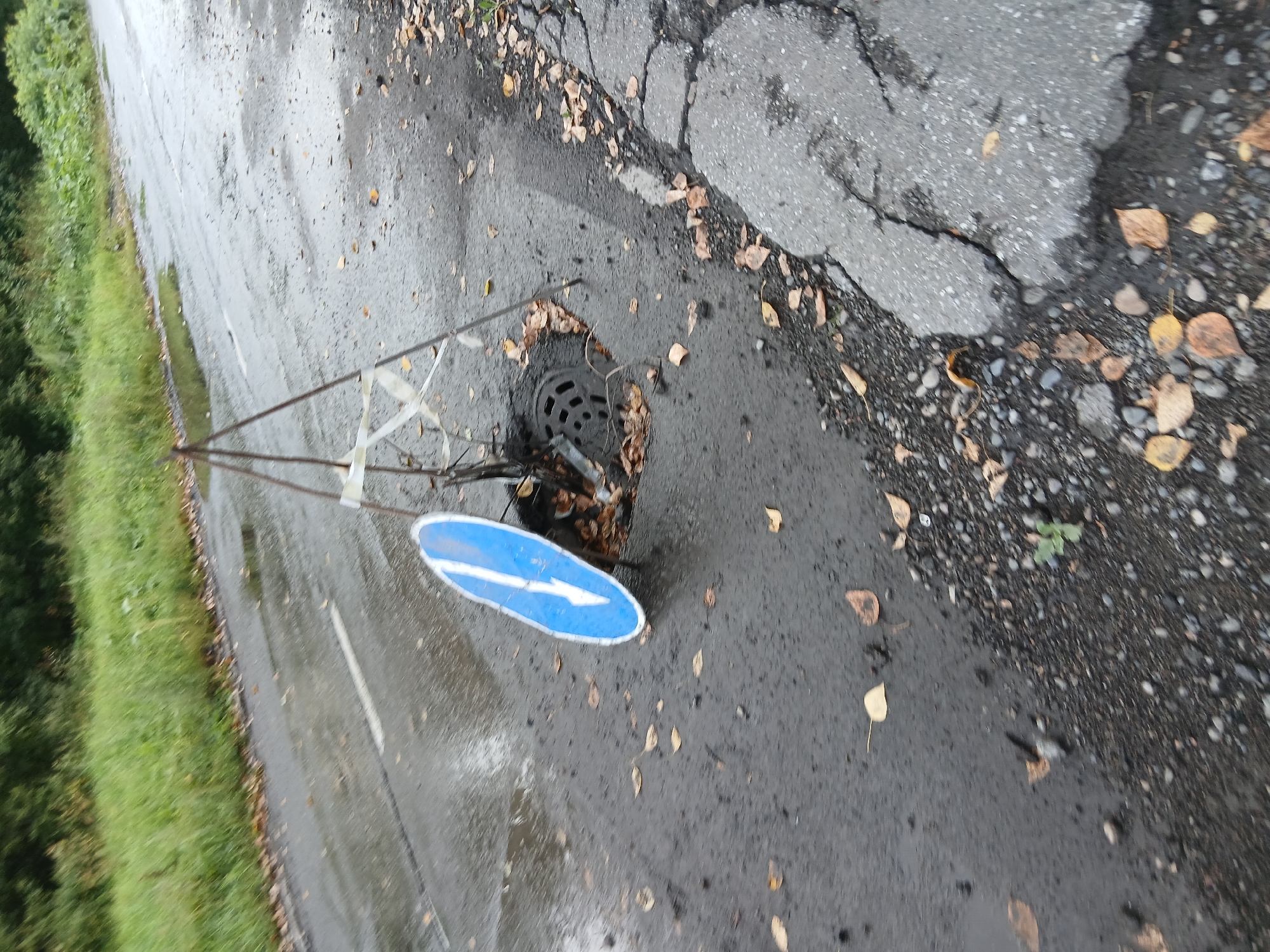 The image depicts a road surface with a large pothole that has been temporarily marked with a blue and white directional sign on a tripod. Fallen leaves are scattered across the wet asphalt, which shows signs of cracking and disrepair. A metal manhole cover is visible within the pothole, and a makeshift barrier of white tape on the tripod attempts to cordon off the hazard. The surrounding environment is an unpaved grassy verge with trees in the background. The lighting suggests an overcast day.