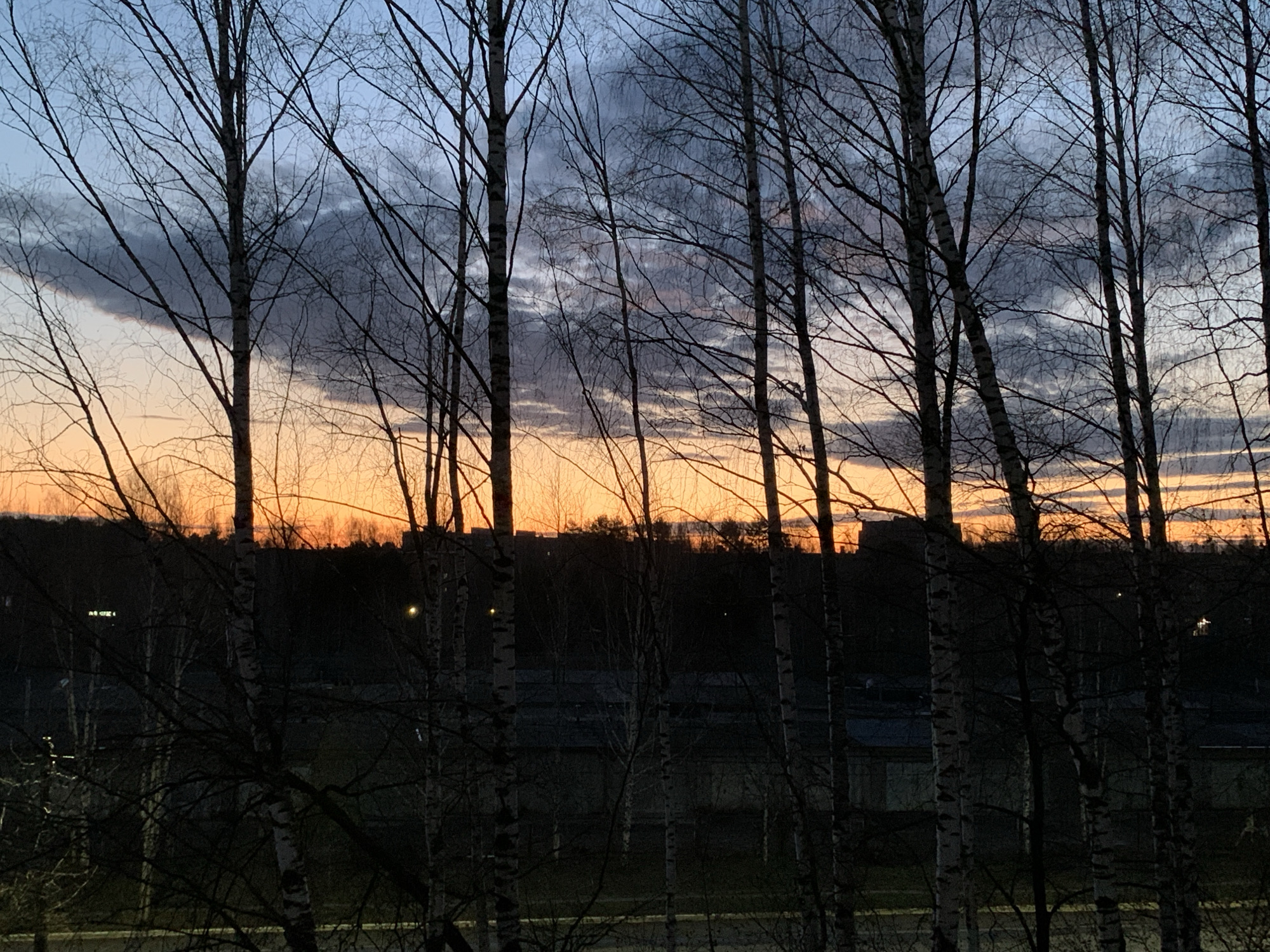 The image presents a tranquil dusk scene, viewed through the bare branches of numerous trees. The sky displays a striking color gradient, transitioning from a pale blue at the top, through a band of dark grey clouds in the mid-sky, to a vibrant orange and yellow glow along the horizon, indicative of sunset or twilight.
The primary subjects are the trees, predominantly in the foreground and midground. Their leafless, slender branches form intricate, dark silhouettes against the bright sky. Some of the tree trunks exhibit the characteristic white and black markings of birch trees.
Below the colorful horizon, a dark, indistinct silhouette of a distant cityscape or buildings is visible, suggesting an urban or suburban setting. The areas below these structures and in the immediate foreground are plunged into deep shadow, with only a few faint, scattered lights suggesting human activity or street illumination.
The scene captures the specific time of day at dusk, with the bare branches hinting at a season of late autumn, winter, or early spring. The presence of clouds suggests an overcast or partly cloudy evening. The overall mood is one of quiet contemplation or serenity. No discernible text is visible within the image.