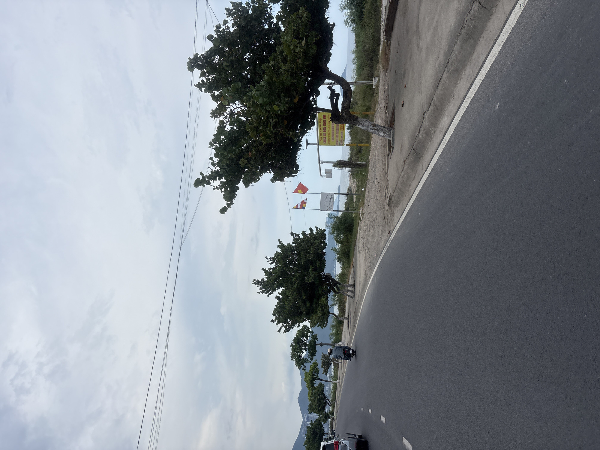 The image depicts a roadside scene in Nha Trang, Vietnam, under a cloudy sky. A paved road curves to the right, with a white line marking its edge. A silver SUV is visible on the left side of the road, and a person riding a scooter is traveling ahead on the road. To the right of the road, there is a sidewalk with several trees, some of which have their trunks painted white. A large, leafy tree with a gnarled trunk is prominently featured on the right side of the image. Behind the trees, a body of water, likely the sea, can be seen, with distant hills or mountains forming the horizon. Several flags, including what appear to be Vietnamese flags, are displayed near a yellow sign. The overall impression is a coastal road with vegetation and signs of local activity.
