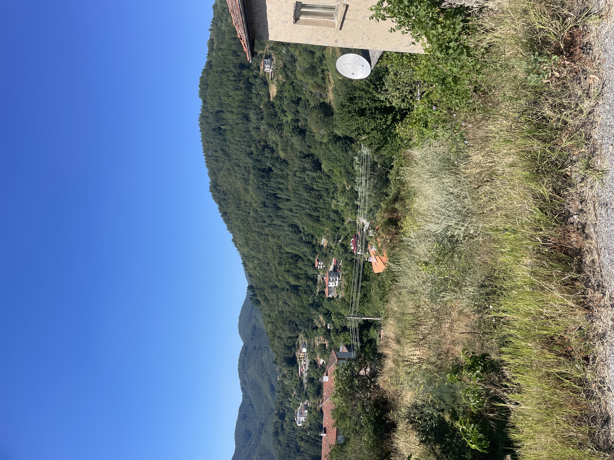 This is a vertical, eye-level, outdoor, daytime photograph of a hillside village in Davidkovo, Bulgaria. The scene is dominated by lush green hillsides covered in trees. Several houses with red-tiled roofs are scattered across the slopes. A building with a light-colored stone facade and a small window is visible in the foreground on the right. A satellite dish is mounted on the roof of this building. In the foreground, dry grass and some green vegetation are present. The sky is clear and blue. The overall impression is one of a peaceful rural setting.