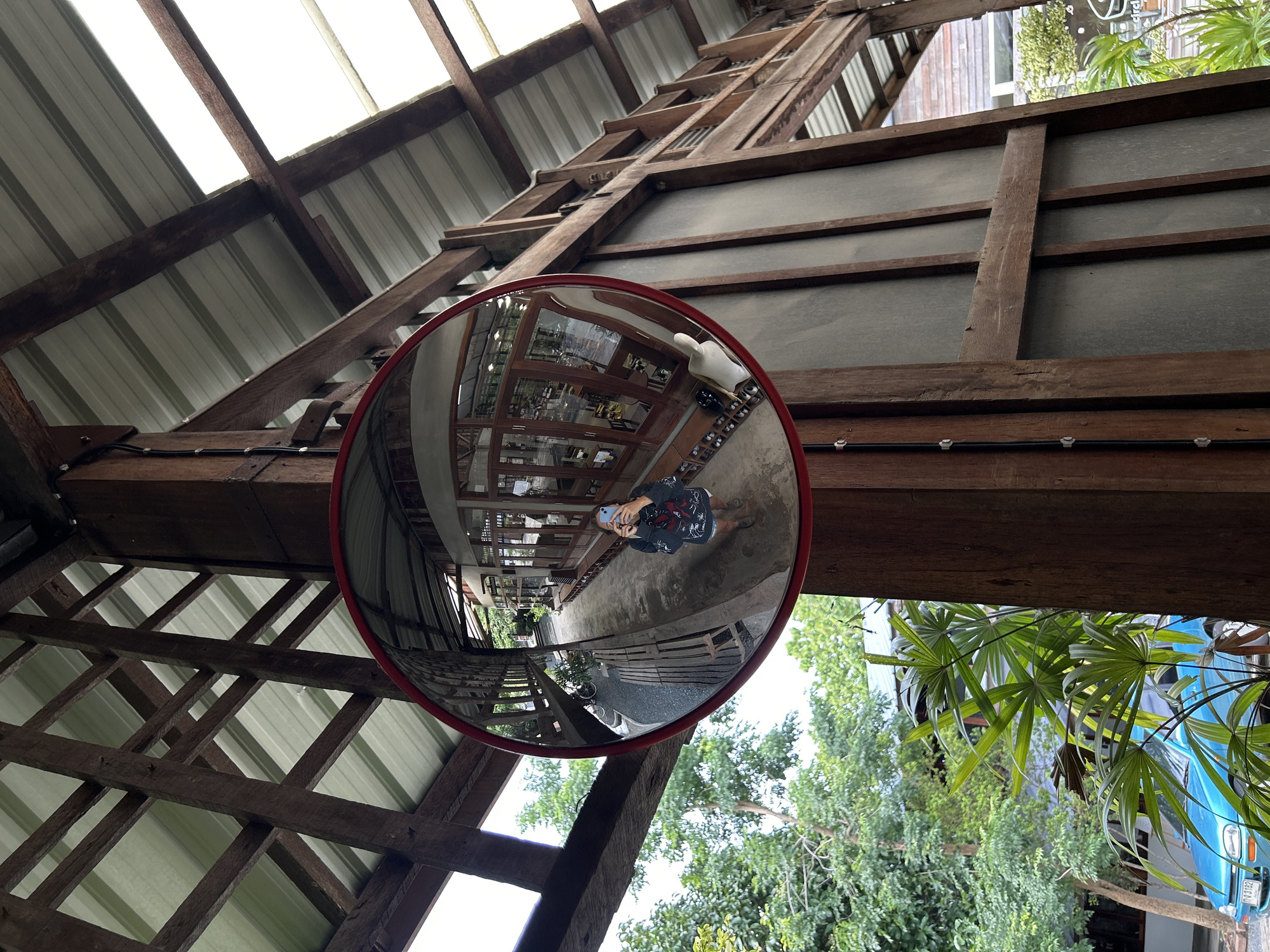 The image captures a wide-angle reflection in a convex mirror, mounted on a wooden pillar. The mirror shows a person taking a selfie with a smartphone, wearing a dark patterned long-sleeved shirt and denim shorts. Behind the person, the reflection reveals an outdoor walkway with wooden benches and tables, flanked by buildings with large glass windows and wooden frames. The surrounding environment suggests a cafe or shop with an outdoor seating area. Outside the mirror's reflection, the foreground features lush green foliage and a bright blue car with a license plate. The background shows the architectural details of a building with a wooden structure and a corrugated metal roof, likely in a tropical climate. The setting appears to be a commercial or recreational establishment within Chiang Mai City Municipality, Thailand, characterized by its open-air architecture and tropical vegetation.