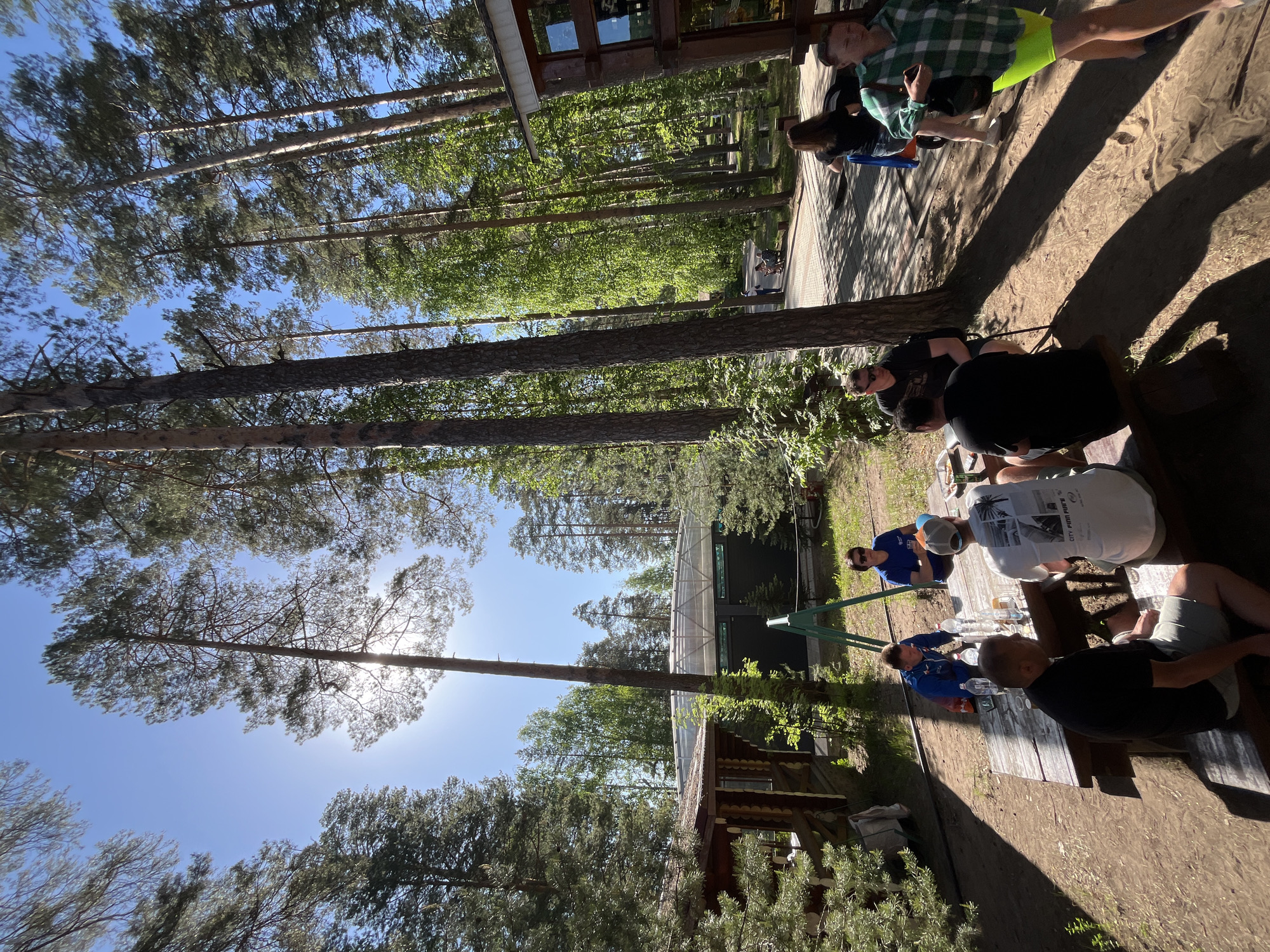 The image shows a group of people seated at a wooden picnic table outdoors in a sunny, wooded area. The location is implied to be near Chaykovsky, Russia, based on the provided instruction. The environment consists of tall pine trees that filter the sunlight. Some trees cast long shadows across the ground. There is a wooden building with a greenhouse-style structure nearby. The people are dressed in casual clothing, some wearing brightly colored shorts and patterned shirts. Some of them are interacting at the table. Clear plastic bottles are on the table.