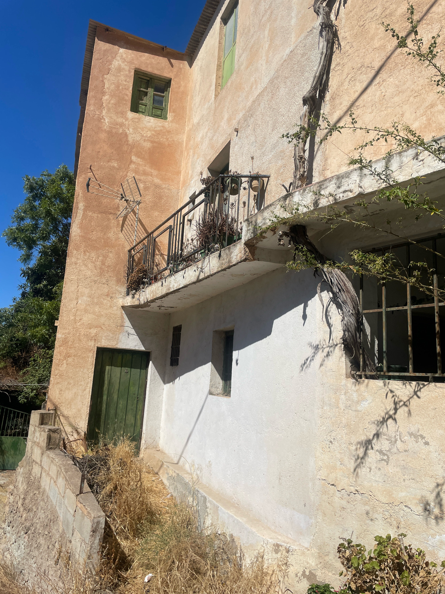 The image captures a close-up view of the exterior of an old, two-story building in Lanjarón, Spain. The building's facade is a mix of weathered peach-colored plaster on the upper level and a rougher, off-white plaster on the lower level, showing signs of age and wear, including visible cracks.
A prominent feature is a narrow balcony on the second story, supported by a concrete structure, with a dark metal railing. Several potted plants with dry vegetation are arranged on the balcony. A thick, gnarled vine with sparse green leaves snakes its way up the wall and across the balcony's underside, its dead, woody trunk twisting dramatically.
On the upper level, there is a small green wooden window with visible shutters. On the lower level, a weathered green wooden door is set into the peach-colored wall. Adjacent to the door, there's a small, dark-framed window. Further to the right, a larger window with a dark metal grate is partially visible.
The ground level of the building is surrounded by overgrown, dry, golden-brown grass and some sparse green bushes. To the left of the building, a stone retaining wall with a concrete cap forms a small staircase leading up to the green door. A metal railing follows the line of the stairs.
The environment appears dry and sunny, with a clear blue sky visible in the upper left portion of the image. The harsh sunlight casts sharp shadows of the vine and branches onto the building's walls, highlighting the textures and imperfections of the structure. The overall impression is one of an old, somewhat neglected building in a rural or semi-rural setting, likely in the Alpujarra region of Granada province, given the architectural style and the dry vegetation.
