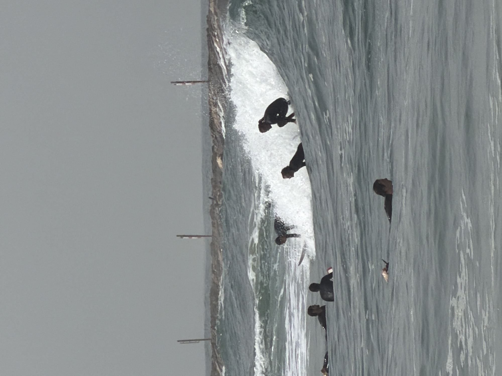 The image shows a group of people surfing on a wave near a breakwater in Tel-Aviv, Israel. The sky is overcast. Six individuals are visible. One is actively surfing a wave that is crashing. A second is at the bottom of the wave. The remaining four are further out. The breakwater has poles sticking out of it.