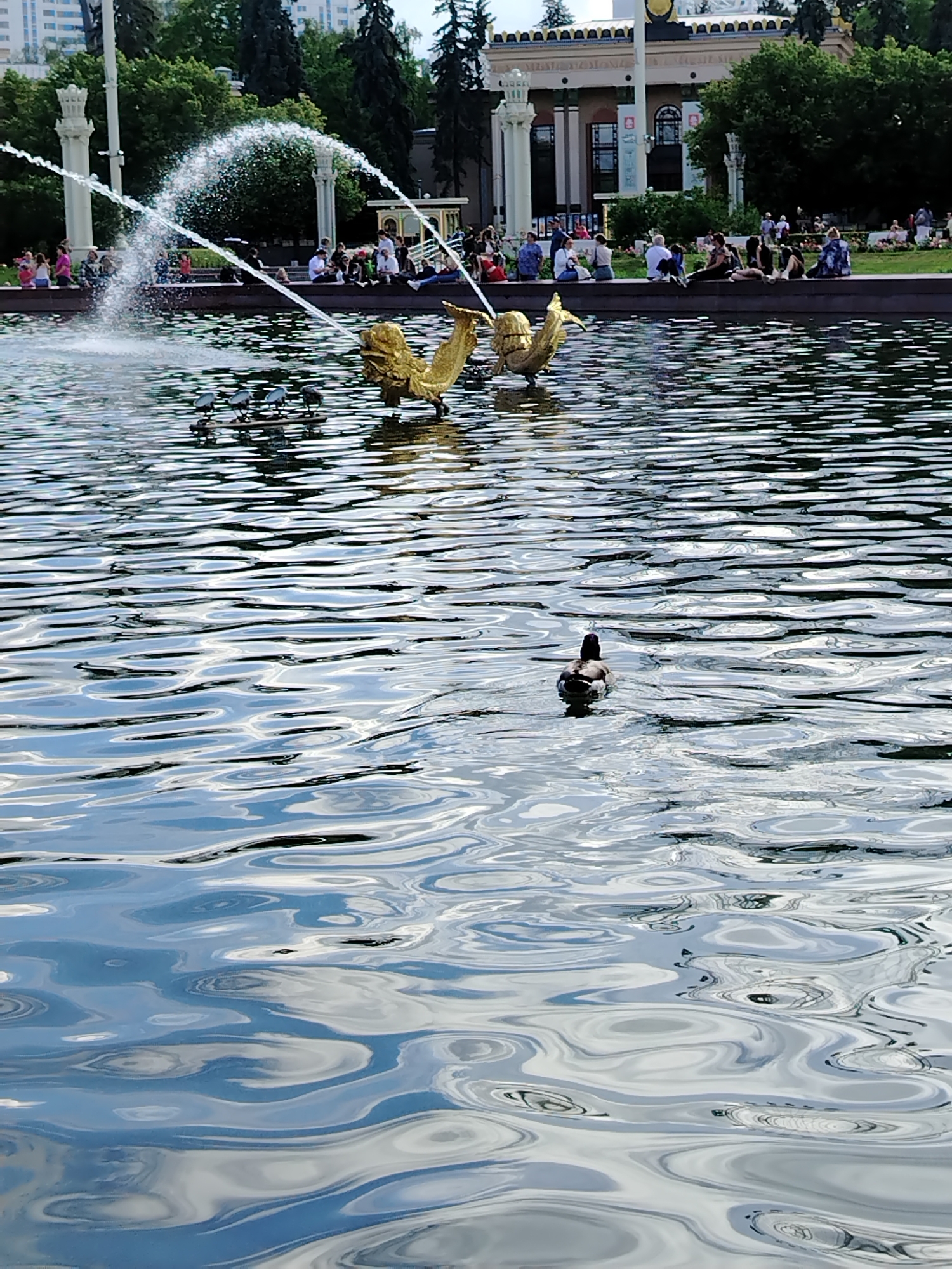 The image depicts a serene outdoor scene at the All-Russian Exhibition Centre (VDNKh) in Moscow, Russia. In the foreground, a body of water with gentle ripples reflects the sky and surrounding structures. A single duck swims peacefully in the water. In the middle ground, a golden fountain, shaped like mythical creatures, sprays water upwards, creating a shimmering arc. Behind the fountain, a group of people are seated along the edge of the water, some appearing to be resting and enjoying the day. Further in the background, a large, ornate building with classical architecture stands prominently, likely one of VDNKh's iconic pavilions. Lush green trees frame the scene, suggesting a park-like setting. The sky is partly cloudy, contributing to the natural light that illuminates the area. The overall atmosphere is one of tranquility and leisure.