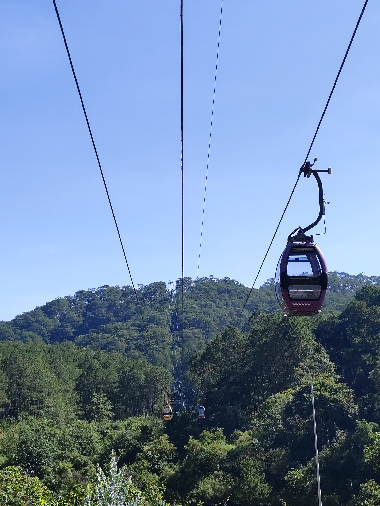 A view of the Da Lat Cable Car system, in Da Lat, Vietnam, on a clear day. The image shows a burgundy colored cable car in the foreground, suspended from multiple black cables that stretch into the distance, with other cable cars visible further away. The backdrop includes a heavily wooded area and a clear blue sky. The greenery consists of trees and foliage of varying shades. A light post is visible on the right side of the frame, blending in with the surrounding trees.