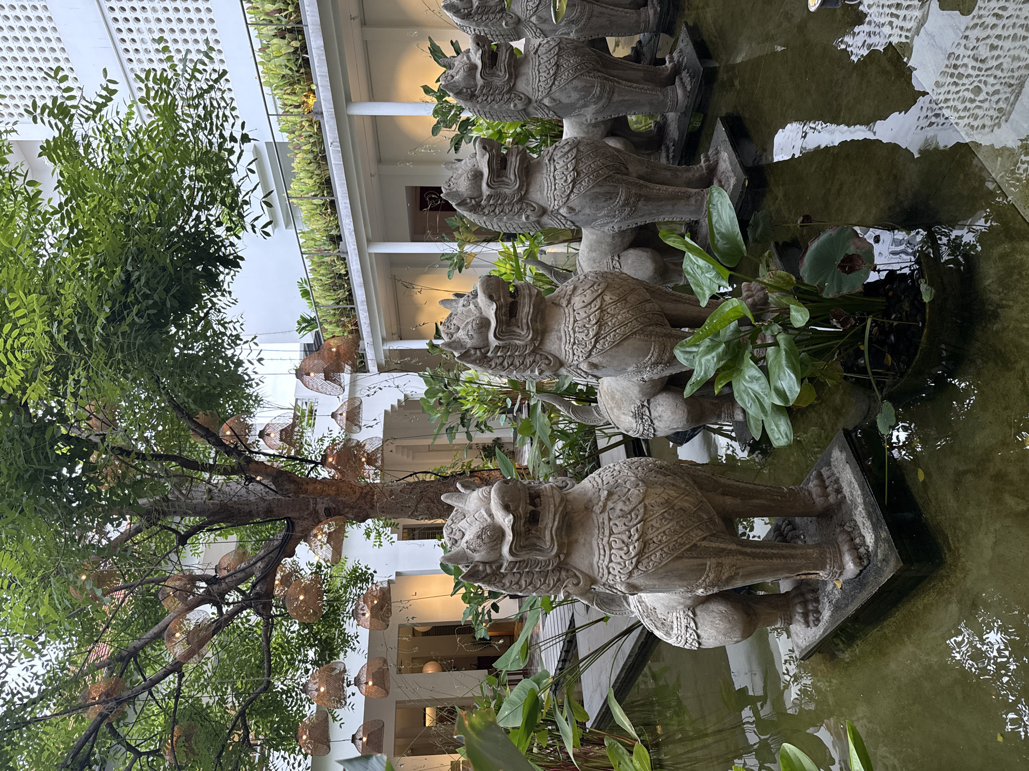 This image shows a courtyard with a tranquil water feature and several stone lion statues. The statues are in the foreground, appearing to guard the pond. They are intricately carved with detailed manes and fierce expressions, typical of Khmer art. Lush green plants, including large-leafed varieties and water lilies, surround the statues and float in the water, adding to the serene atmosphere.
Above the courtyard, a large tree is adorned with numerous woven basket-like lamps, illuminated and casting a warm glow through the leaves. In the background, a modern white building with a distinctive patterned facade and a balcony lined with plants can be seen. The architecture suggests a resort or a well-maintained public space. The overall impression is one of cultural heritage blended with contemporary design, creating a peaceful and aesthetically pleasing environment.
This scene is likely located in the city of Khan Daun Penh, Cambodia, known for its historical sites and cultural attractions, which often incorporate such artistic elements.