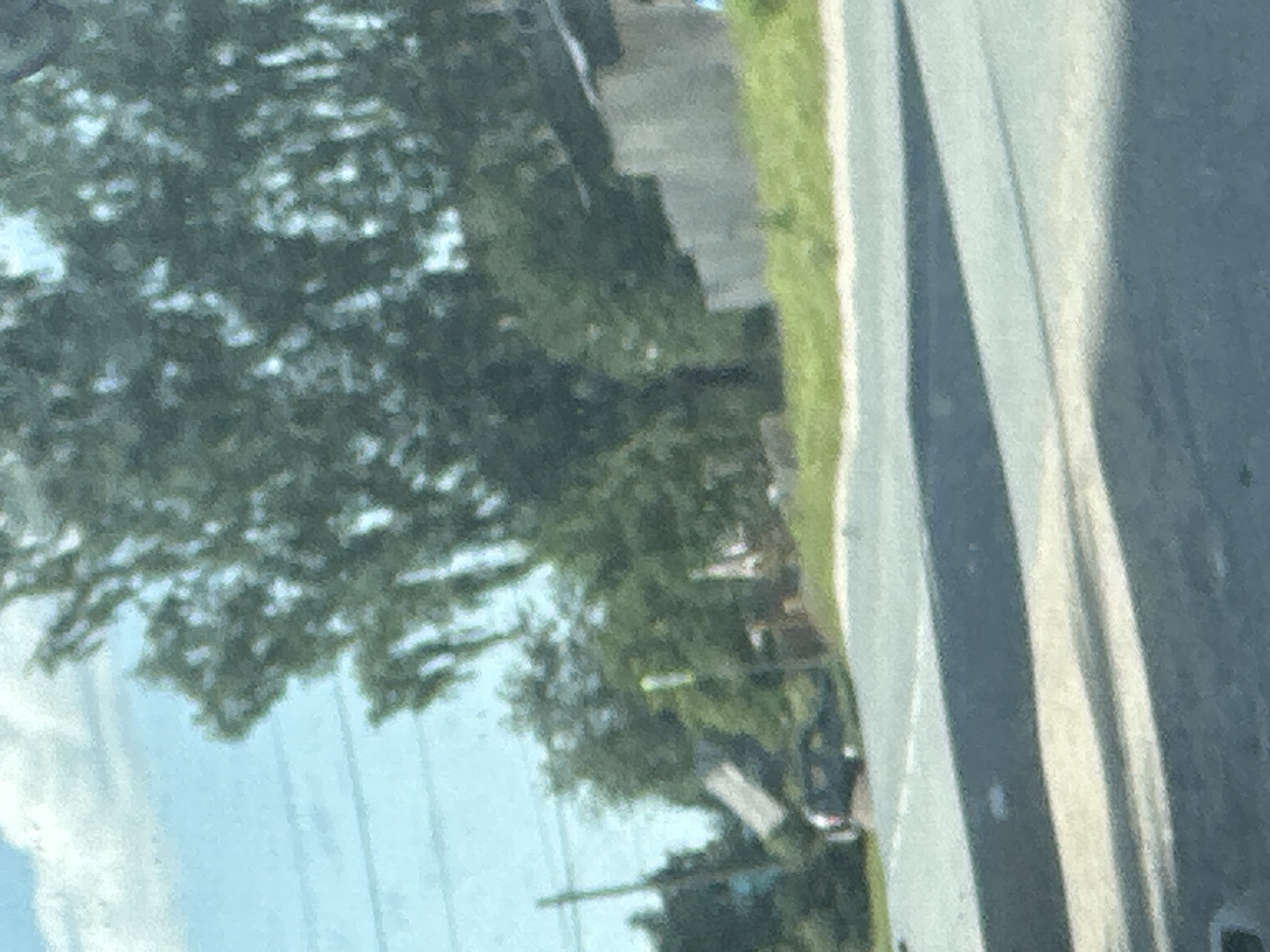 The image depicts a blurred view of a street scene, likely in Plesetsk, Russia. The foreground is dominated by a grey asphalt road with indistinct white markings and a dark shadow cast across it. In the middle ground, a dark-colored vehicle is visible, partially obscured by foliage and the car's own shadow. Beyond the road, there is a grassy embankment. Further back, trees with green foliage are prominent, with some appearing to be deciduous. A light-colored building with a sloped roof is partially visible among the trees. Power lines are also present, strung between poles. The sky is a pale blue with white clouds. The overall impression is of a somewhat overcast day in a semi-urban or rural setting.