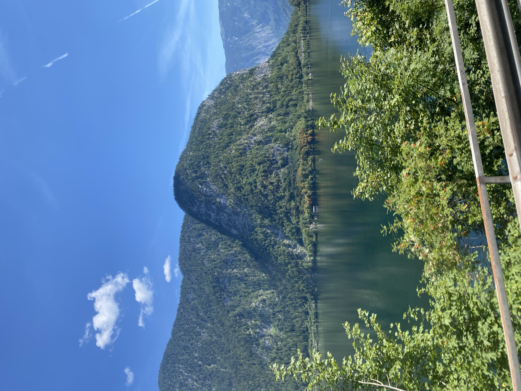 The image depicts a serene natural landscape with a focus on a large body of water, likely a lake, reflecting the surrounding mountains and sky. The foreground is dominated by lush green trees and foliage, partially obscuring a silver railing. Beyond the foliage, the dark, calm water stretches out, mirroring the imposing, tree-covered mountains that rise steeply from its edge. The mountains exhibit rugged textures and are densely covered in evergreen trees. The sky above is a clear, vibrant blue, punctuated by a few scattered white clouds and faint contrails. In the distance, additional mountain ranges are visible, fading into a hazy blue. The scene suggests a tranquil, possibly remote, natural setting. The overall impression is one of natural beauty and peacefulness, indicative of a location like Hallstatt, Austria, renowned for its picturesque lakes and mountainous terrain.