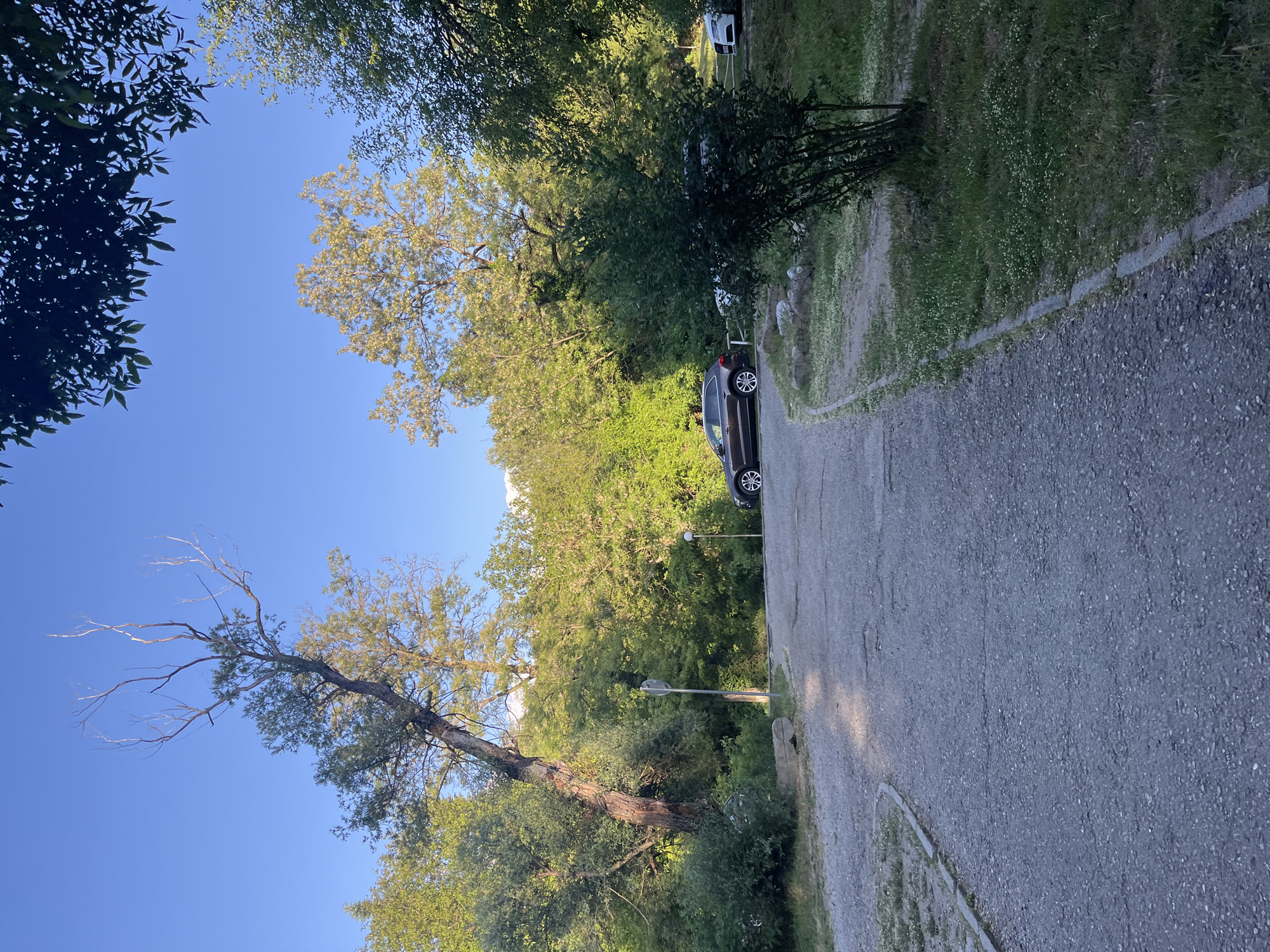 The image shows a paved road winding through a green area with trees on either side. A dark-colored car is parked along the road. Further along, a white car is visible in the distance. The sky is blue. The image is likely taken in a park or recreational area within Blagoevgrad, Bulgaria, although specific landmarks are not visible to confirm the precise location. The environment is natural, with an emphasis on greenery.