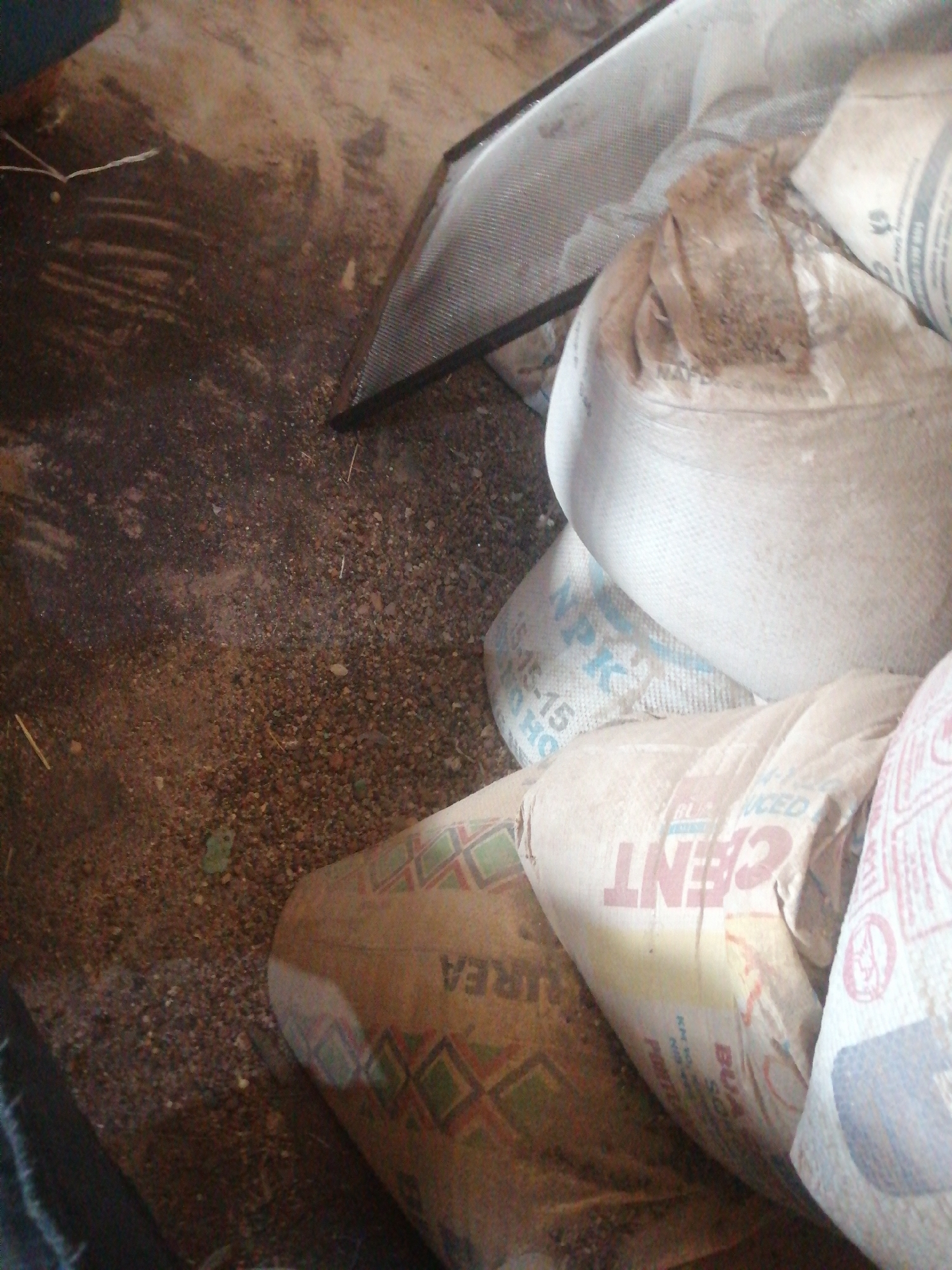 The image depicts a dimly lit, dusty storage area, likely a warehouse or a shed, in Jos, Nigeria. The foreground is dominated by several large sacks, some appearing to be filled with agricultural products or building materials like cement, as indicated by partial text visible on them, such as "CEMENT" and "NPK." The sacks are made of woven material and are varying shades of beige and white. The ground is covered in a layer of dirt, small stones, and debris, suggesting a lack of meticulous housekeeping. A metallic mesh object, possibly part of a sieve or a fan guard, is visible in the upper right portion of the frame. The overall atmosphere is one of utilitarian storage, with a sense of disarray due to the scattered debris and the haphazard stacking of the sacks. There are no people or active interactions visible in the scene.