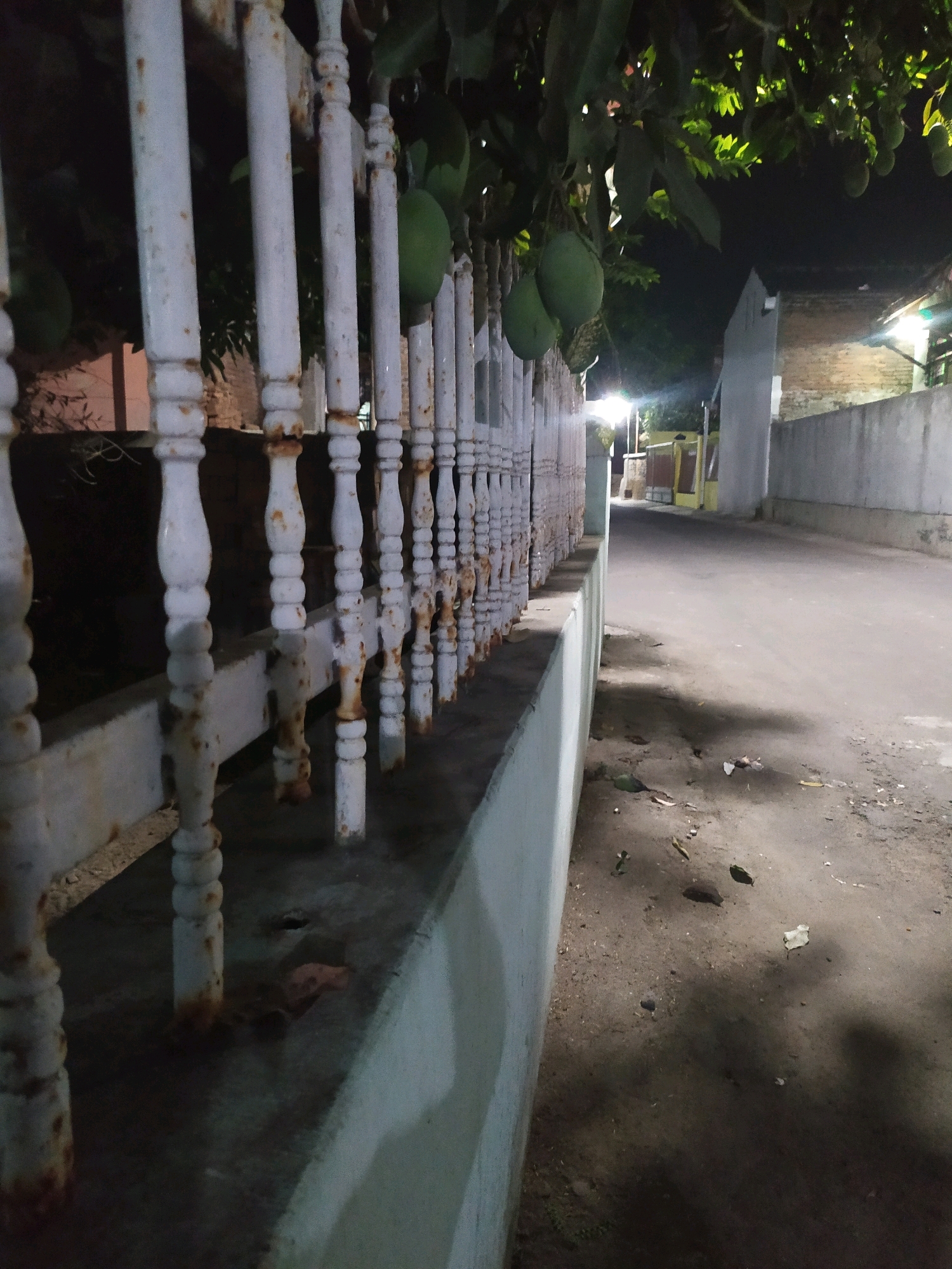 The image depicts an outdoor scene at night in Glagahwangi, Indonesia, likely a residential or semi-rural area. In the foreground, a white, ornate, and somewhat rusted metal fence runs horizontally across the frame, supported by vertical balusters. Behind the fence, there are several green mangoes hanging from a tree, partially obscured by leaves. The ground in front of the fence appears to be a concrete surface. To the right of the fence, a paved road stretches into the background. The road is flanked by a low concrete wall on the left and a larger wall or building structure on the right. The background is dimly lit by artificial lights, revealing hints of buildings and vegetation. The overall impression is a quiet, ordinary street scene at night.