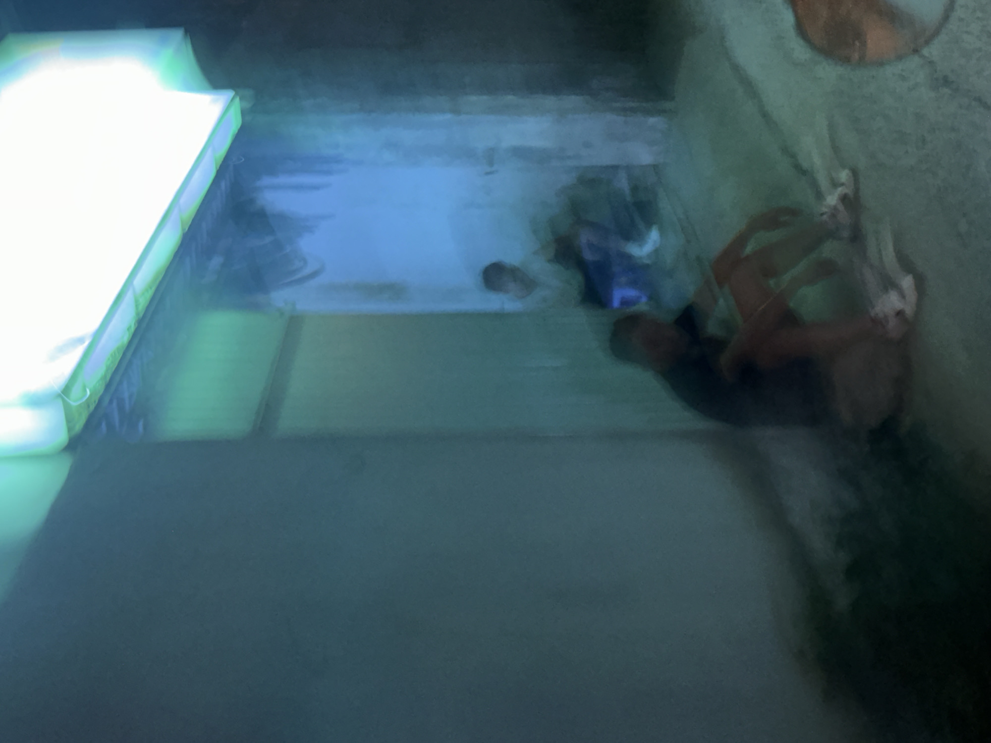 The image shows a brightly lit, rectangular aquarium. The aquarium contains water and possibly some decorative items. Two individuals are visible inside the aquarium. One individual is standing in the water, and another appears to be submerged. A possible reflection of another individual is seen at the edge of the aquarium. The image contains blurry details and an unknown location. Bac Nha Trang Ward, Vietnam is not confirmed.