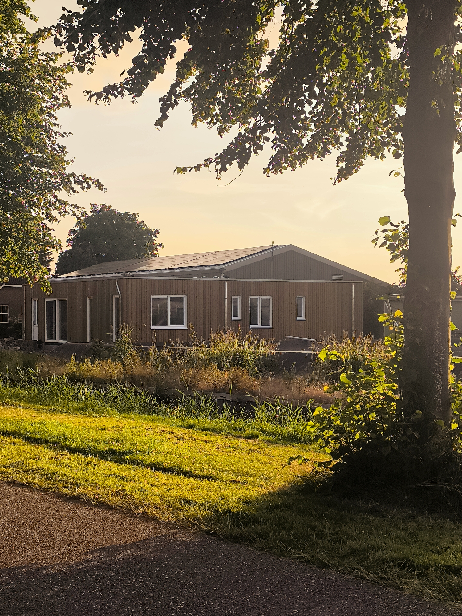This is a medium shot, outdoor, eye-level, color photograph taken at sunset in Almere, Netherlands. The image depicts a long, low-slung wooden house with a pitched roof covered in solar panels. The house has several white-framed windows and sliding glass doors. In front of the house is a narrow, overgrown canal with tall grasses and reeds. To the right of the house, a large tree trunk with dappled green leaves is visible, obscuring part of the house and the sky. A paved path runs along the left foreground, casting a shadow. The setting is rural or semi-rural, with a focus on sustainable living. The golden hour lighting suggests a peaceful and serene atmosphere. There is no text visible in the image.