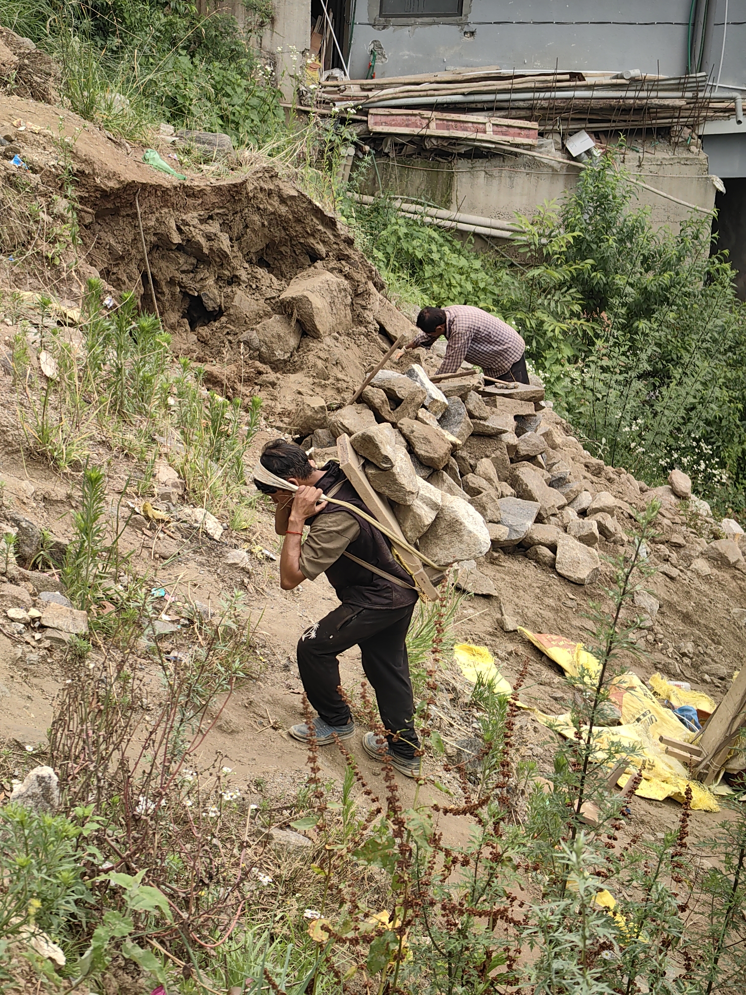 In Vashisht, India, two men are engaged in manual labor on a steep, rocky incline. The man in the foreground, facing away from the camera, is carrying a large load of rocks on his back, secured with straps. He is wearing a dark vest over a short-sleeved shirt and dark pants, with a cloth wrapped around his forehead. The man in the background, facing towards the incline, is bent over and appears to be gathering or arranging stones. He is wearing a checkered shirt and dark pants. The environment is characterized by a steep bank of earth and rocks, with sparse vegetation growing on the slopes and in the foreground. In the background, a building structure is visible, with construction materials like wooden planks and rebar stacked. Yellow construction bags are present on the lower slope, indicating ongoing work. The overall scene depicts strenuous manual labor in a challenging, outdoor environment.