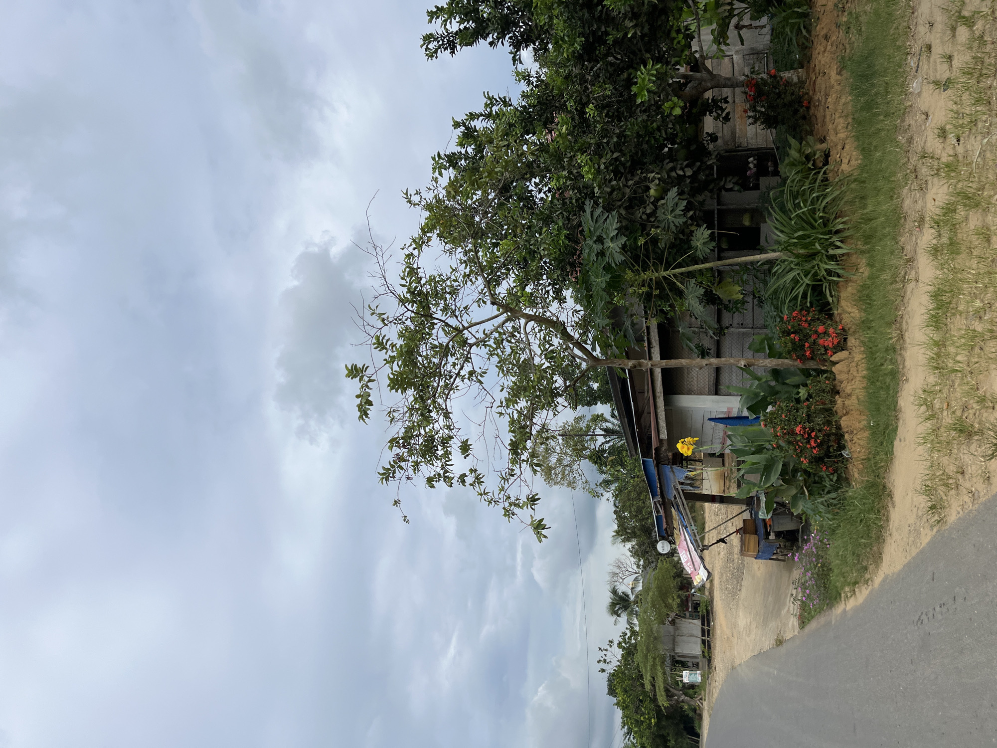 This is a full-frame, eye-level, vertical photograph of a roadside scene in Sukajadi, Indonesia. The sky is overcast with thick, grey clouds. In the foreground, a paved road curves to the left, bordered by a sandy shoulder with sparse green grass. To the right of the road is a small, open-air structure that appears to be a vendor's stall. It has a blue tarp roof supported by poles and a wooden counter with some items on display, including what looks like a wooden crate. Behind the stall, a simple, rustic building with a light-colored wooden exterior stands. In front of this building and around the stall, there are various plants, including lush green foliage, some smaller red flowers, and a tall, flowering plant with large green leaves. A single, bright yellow flower is visible on a plant near the stall. A medium-sized tree with green leaves and bare branches stands between the stall and the building. To the left of the stall, further down the road, another small building or structure can be seen. The environment appears to be rural or semi-rural, with vegetation and simple structures.