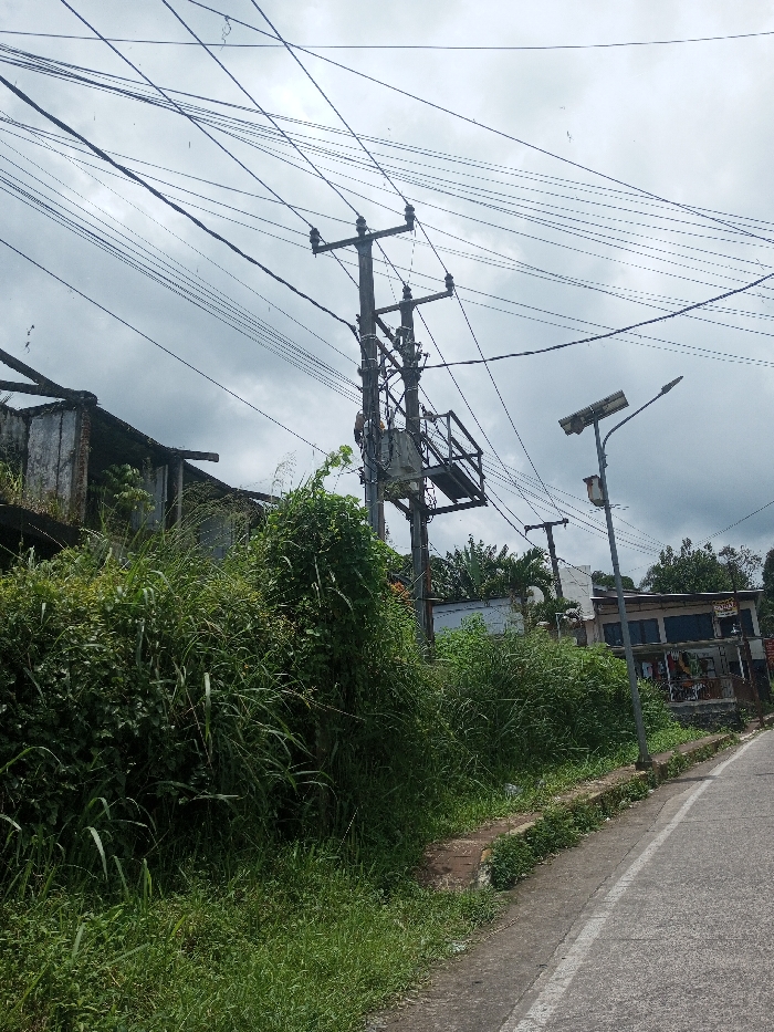 The scene depicts an outdoor roadside environment in Bagochen Boolingpang Ueling, Bhutan, under an overcast sky. In the foreground, an asphalt road with a partial white lane marking on its right edge is present. This road is bordered on the left by a concrete curb, beyond which lies a substantial area of dense, overgrown green vegetation, including various grasses and leafy shrubs, extending upwards along a slight incline.
Centrally located in the midground is a wooden utility pole featuring multiple crossarms that support a complex network of numerous black electrical wires crisscrossing the sky. A large, grey electrical transformer is mounted on this pole, accompanied by a metal support structure and additional wiring. A single individual, dressed in a light-colored shirt and dark pants, is observed positioned on the utility pole adjacent to the left side of the transformer, indicating active work. To the left of this central pole, a dilapidated structure with exposed concrete and corrugated metal roofing is partially visible, largely obscured by the heavy foliage. To the right, a metal street light pole is present, topped with a rectangular solar panel and a smaller white control box mounted below the luminaire. Further in the background on the right, multi-story buildings are visible, including one with dark-tinted windows on the upper level and an open ground floor, displaying a partially visible red sign. Additional utility poles and a dense array of electrical wires extend into the background. No other people or distinct actions are observed.