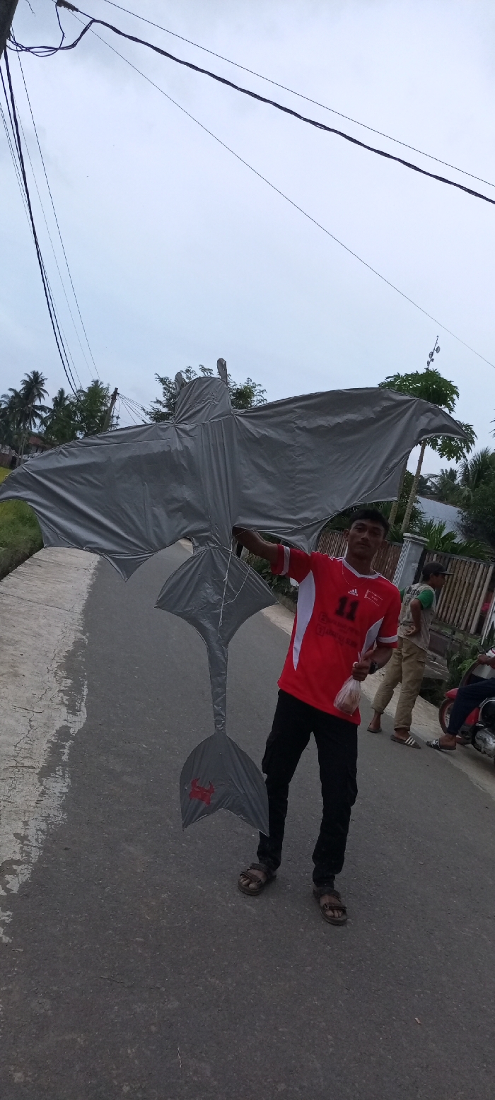 An outdoor scene in Mns Alue, Indonesia, depicts a young male holding a large, grey, dragon-shaped kite on an asphalt road under an overcast sky. The subject stands centrally, facing the camera, wearing a red short-sleeved Adidas t-shirt with "11" printed on the front, dark long pants, and brown sandals. He holds the kite with both hands, presenting its wide wingspan and long, multi-finned tail, which features a red crab logo on one fin. In his left hand, he also holds a transparent plastic bag containing a brown substance.
In the mid-ground on the right, two additional males are visible. One wears a light green t-shirt, light brown pants, and sandals, holding a spherical object in his right hand. He stands near a partially visible red and white motorcycle/scooter. The other male, partially obscured, appears to be seated on or leaning against the motorcycle.
The environment includes a dark grey asphalt road, a light-colored concrete strip on the left edge of the road, and dense green tropical vegetation, including palm trees, in the background. Overhead, multiple black electrical wires crisscross against the grey, cloudy sky. A light-colored fence and parts of structures are visible behind the background figures on the right.