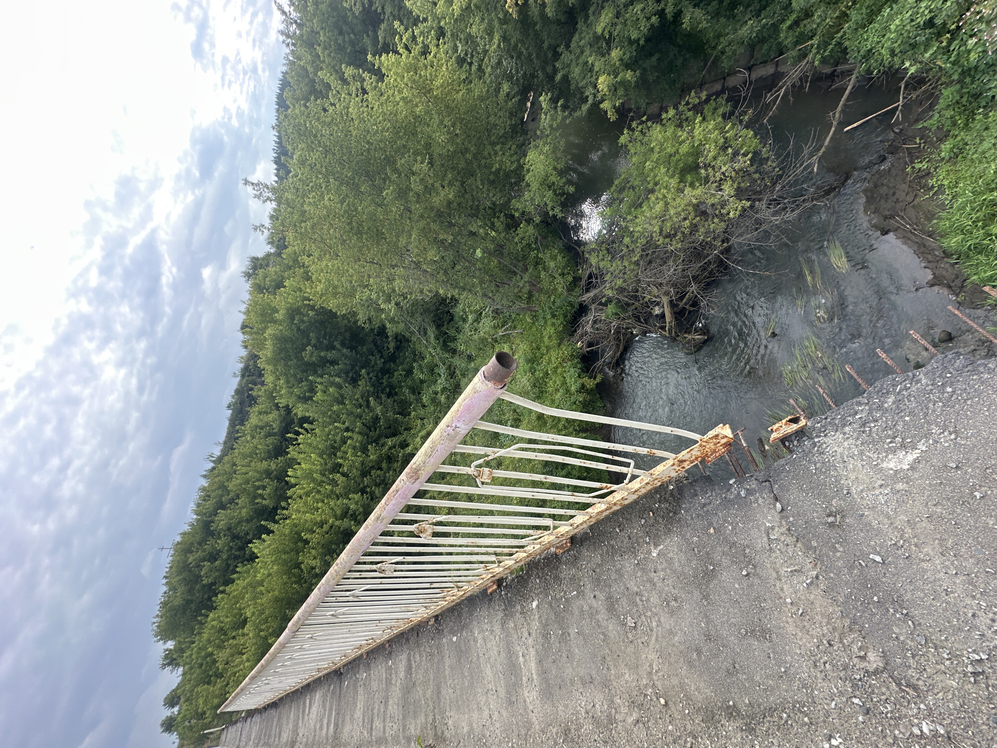The image shows a concrete bridge with a rusty white railing, overlooking a small, dark river surrounded by dense green foliage. The bridge deck appears worn and cracked, with exposed rebar at the edge. Debris, including branches and some vegetation, is visible in the river. The sky is overcast with clouds. The scene is located on a bridge over a river in Sokolovo, Russia.