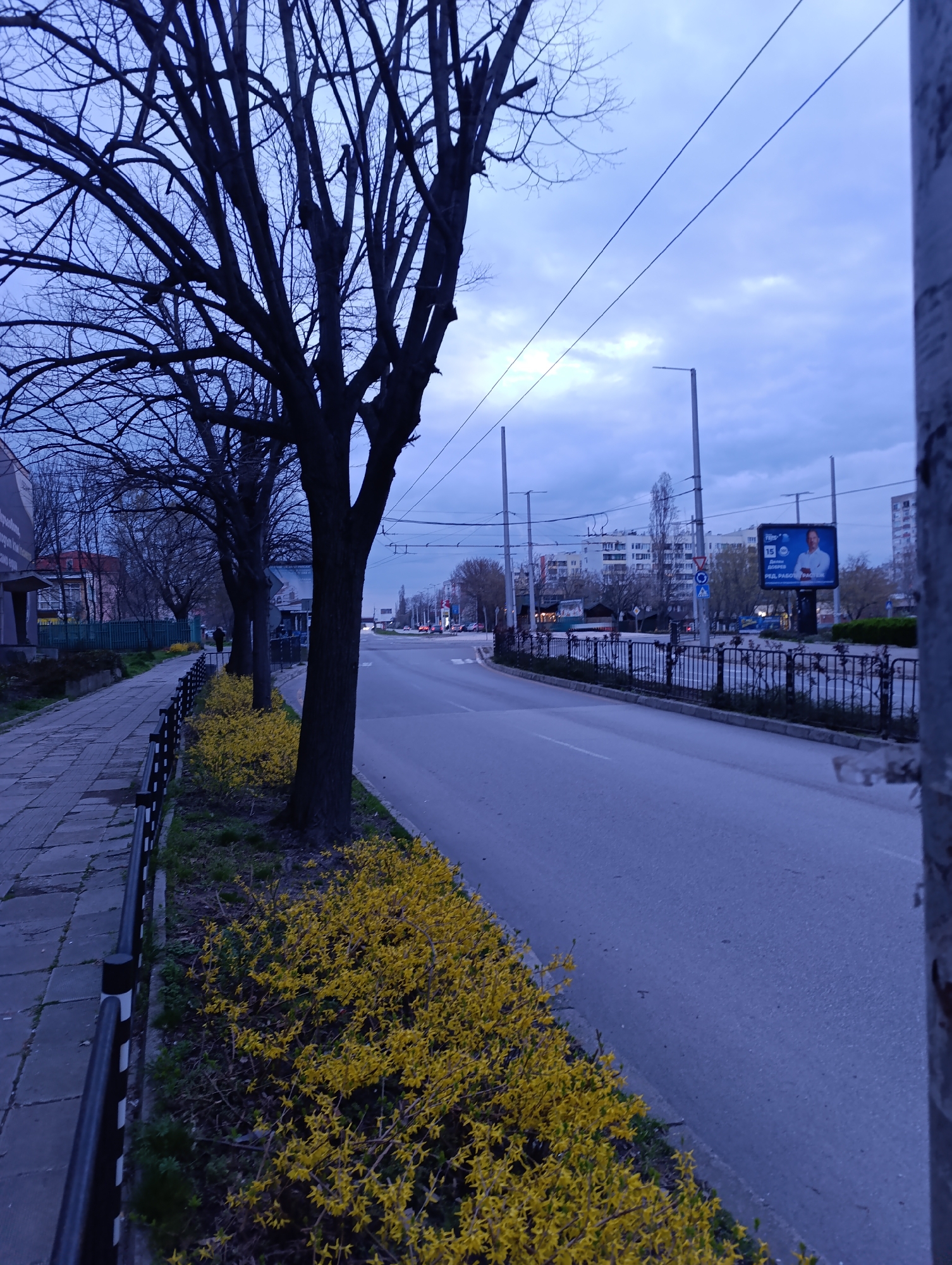The image shows a street scene in Haskovo, Bulgaria, likely captured during the late afternoon or early evening based on the lighting. The foreground is dominated by a sidewalk on the left, lined with bare trees and bushes with bright yellow flowers planted along the curb. A black metal fence separates the sidewalk from the flower bed. The road, mostly empty of traffic, stretches into the distance. In the background, buildings and a billboard featuring a man's image and text in Bulgarian are visible. Utility poles and overhead wires run along the side of the road. The sky is overcast, contributing to the dim lighting. A person is visible walking along the sidewalk in the distance. The image appears to be taken from a slightly elevated position. The right edge of the frame contains a vertical pole.