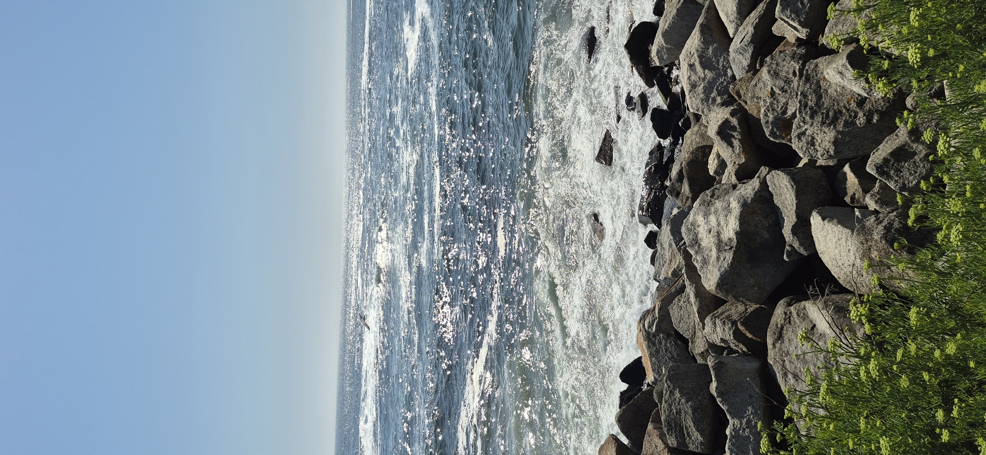 This is a vertical, eye-level shot of the ocean meeting a rocky shoreline in Vila do Conde, Portugal. The upper half of the image is dominated by a clear, light blue sky that fades to a slightly hazier hue near the horizon. The sun is high, casting a brilliant sparkle across the deep blue ocean, which is in constant motion with waves and white foam crashing against the shore. In the foreground, a dense cluster of green foliage with small, light green flower clusters lines the bottom of the frame, leading up to a rugged pile of large, grey rocks. These rocks, varying in size and shape, form a natural barrier between the vegetation and the churning sea. The overall impression is one of a bright, breezy day at the coast, with nature's raw beauty on full display.