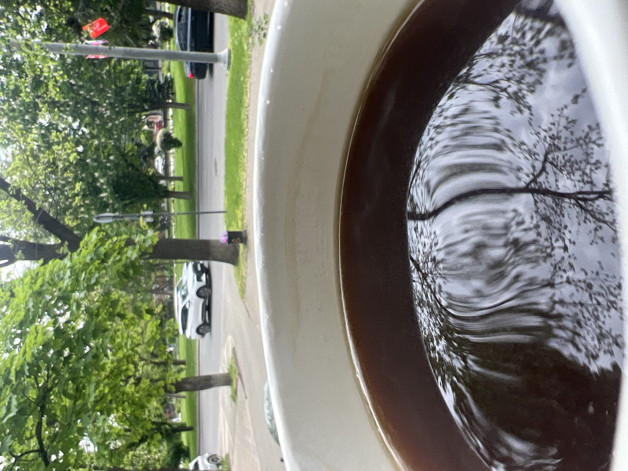 A close-up, slightly blurred image shows a white bowl filled with dark liquid, reflecting a view of a street with trees and cars. The street appears to be in a residential area. Trees are visible on both sides of the street. A red flag or marker is attached to a utility pole. Cars are parked along the street. The reflection in the liquid shows details of the trees and sky. Given the absence of specific markers or identifying features within the image, determining the precise location as Krasnodar, Russia is not possible.