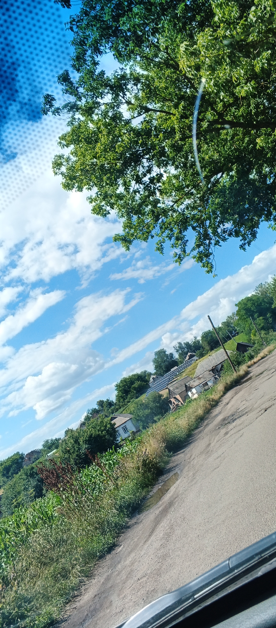 The image depicts a rural landscape in Mala Smilianka, Ukraine, on a clear day. The foreground is dominated by a dirt road that curves towards the right, showing signs of recent rainfall with a small puddle visible on its surface. To the left of the road, a lush green field of crops, possibly corn, stretches into the distance, bordered by various trees and vegetation.
In the mid-ground, a cluster of houses is nestled on a gentle slope. One house, painted white with dark trim around its windows, is clearly visible. Further up the slope, several other structures are present, some with tiled roofs, and a section of solar panels can be seen on one of the rooftops, indicating a blend of traditional and modern elements in the settlement. A few utility poles are also scattered throughout the scene.
The background is characterized by a vibrant blue sky filled with scattered white clouds. A large tree with dense green foliage occupies the upper portion of the image, its branches extending downwards and partially obscuring the sky. The overall impression is one of a peaceful, rural setting in the Ukrainian countryside. There are no people or animals visible in the frame. The image appears to have been taken from inside a vehicle, suggested by the windshield frame at the bottom.
