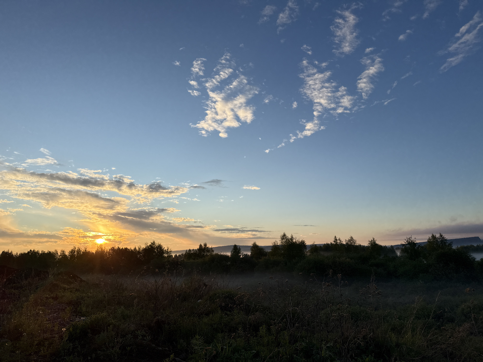 The image displays a tranquil natural landscape at either sunrise or sunset, likely early morning, near Dzerzhinsk, Russia. The upper sky is a clear, deep blue, transitioning to lighter hues near the horizon, and features scattered, wispy white clouds across its expanse. On the left side, the sun is prominently visible, casting bright golden rays through a break in the clouds and a distant line of dark trees.
The midground is dominated by a dense band of trees and shrubs, silhouetted against the bright sky and forming a dark, verdant barrier. Beyond these trees, low-lying hills or mountains are visible in the far distance. A distinct layer of soft, ethereal mist or fog hovers close to the ground, particularly noticeable among the vegetation and above the distant hills, creating an atmospheric depth. The foreground consists of dark, shadowy masses of tall grasses and various low-lying plants, illuminated faintly by the indirect light, with some details of individual plant stalks visible. No people, specific objects beyond natural elements, or visible text are present. The scene evokes a sense of peace and natural beauty, characteristic of a quiet dawn or dusk.