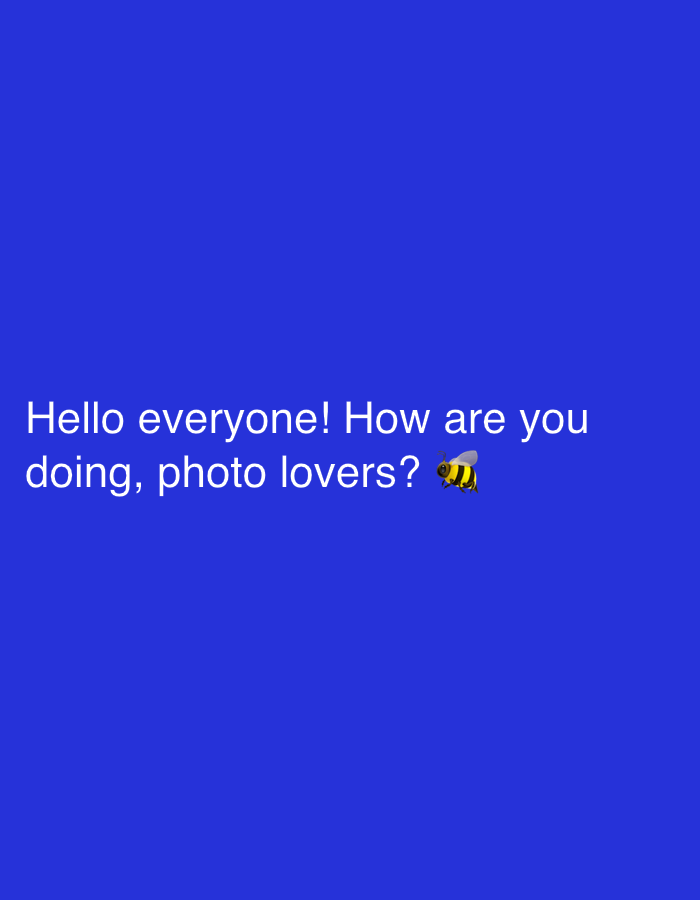 The image displays the text "Hello everyone! How are you doing, photo lovers? 🐝" against a blue background. There is a bee emoji at the end of the text. The location is not specified.
