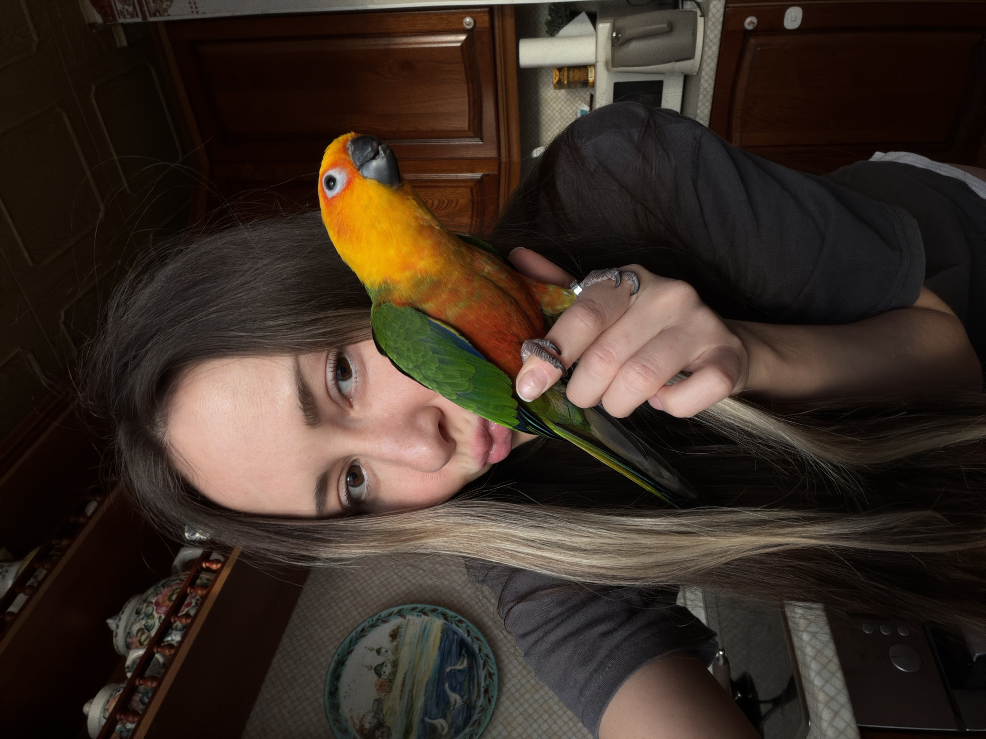 A female subject, partially framed, is captured in a close-up selfie within what appears to be a domestic kitchen. She has long, dark brown hair with blonde highlights and is wearing a dark grey t-shirt. Her lips are pursed in a pout, and she looks directly towards the camera. Her right hand holds a Sun Conure parrot, which is perched on her fingers. The parrot displays vibrant orange, yellow, and green plumage and faces to the right. A silver-colored ring is visible on the female's right ring finger.
The background shows elements of a kitchen: on the right, dark wooden upper cabinets are visible, below which a microwave and an electric kettle rest on a light-colored countertop with a tiled backsplash. On the left, a decorative ceramic plate depicting a landscape with water, structures, and geese hangs on a wall with a subtle checkered pattern. Above this, wooden shelves display several decorative teapots or vases. A light-colored countertop is also visible in the lower-left corner. The specific location within the city of Khimki, Russia, cannot be determined from the visual information provided in the image.