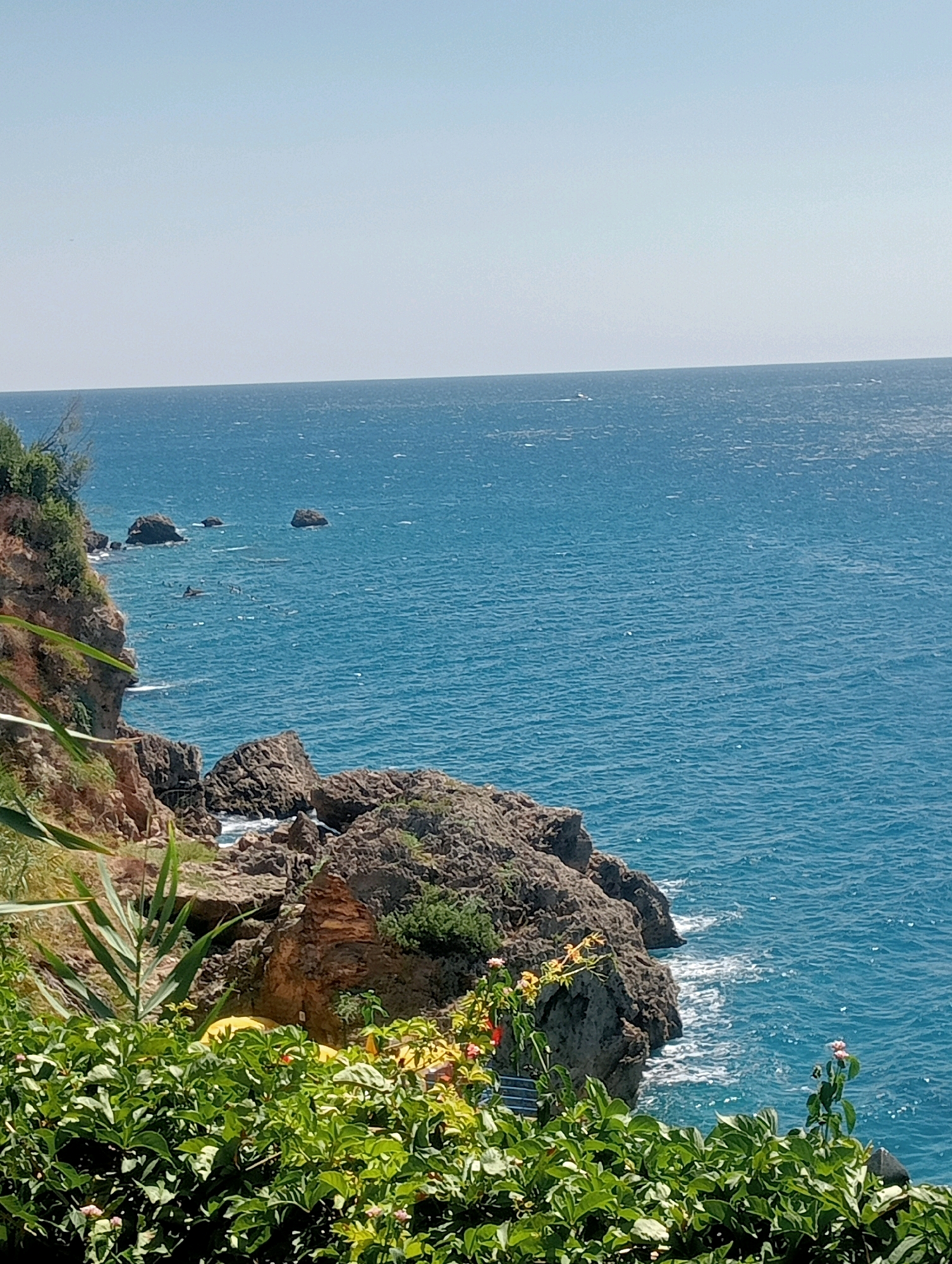The image captures a coastal scene in Antalya, Turkey, likely overlooking the Mediterranean Sea. The foreground is dominated by lush green foliage, with some small pink flowers visible. Behind the foliage, rugged, rocky cliffs descend towards the sea. The sea itself is a vibrant blue, with gentle waves and whitecaps indicating movement. Several dark rocks are scattered in the water near the shore. In the distance, a small white boat can be seen on the horizon. The sky is a clear, light blue, suggesting a sunny day. The overall impression is of a natural, serene coastal landscape.