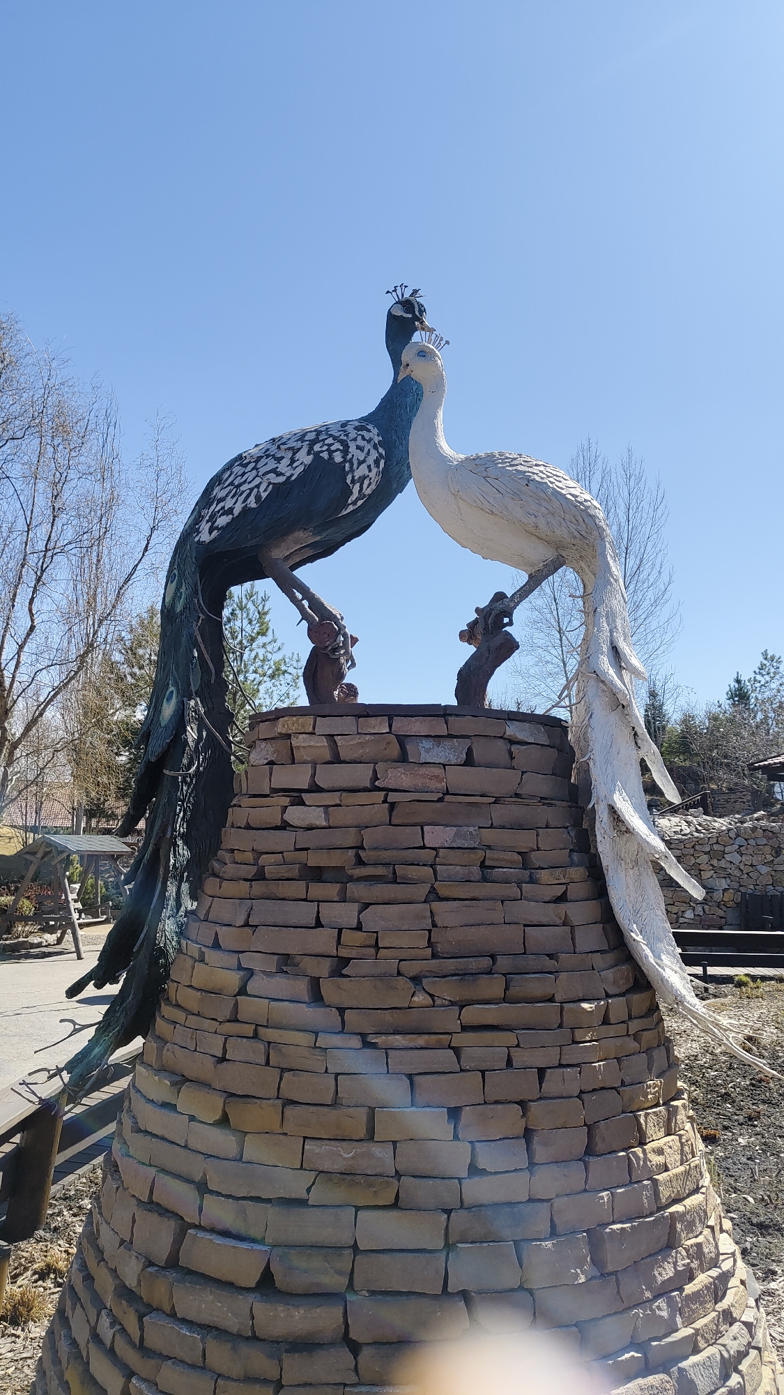 A low-angle, eye-level shot captures a sculpture of two peacocks, one dark and one white, standing on a conical stone pedestal under a clear, bright blue sky in Krasnoyarsk, Russia. The peacocks are positioned facing each other, their heads slightly bowed and close, suggesting a loving or intimate gesture. Both figures wear small, metallic crowns on their heads.
The dark peacock, on the left, features deep blue-green and black plumage with white patterning on its back and intricate feather details on its body and a long, flowing tail that extends downwards and to the left. The white peacock, on the right, is entirely white, with similar detailed feather textures and a long, graceful tail fanning downwards and to the right. Both sculptures appear to be made of a rigid material, possibly metal or concrete, painted to resemble peacocks.
The pedestal supporting the sculptures is constructed from rough-hewn, stacked brown and grey flagstones, forming a sturdy, cylindrical base. The bright sunlight casts distinct shadows, indicating a sunny day, likely mid-morning or early afternoon.
In the background, bare deciduous trees and some evergreen trees are visible, suggesting the season is late winter or early spring. To the far left, a wooden swing set and other outdoor structures are partially visible, hinting at a park or garden setting. A faint, unreadable reddish sign with Cyrillic text can be seen in the distant background on the left. The ground around the pedestal is dry and covered with sparse vegetation.