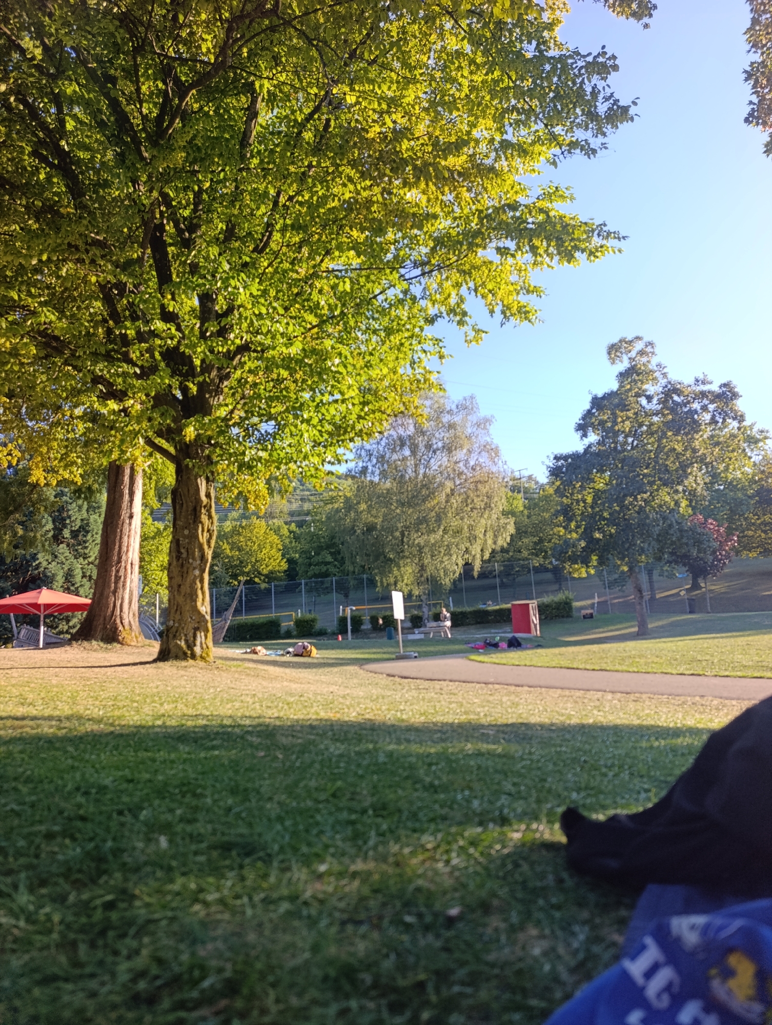 This image captures a sunny day in the city of Pfullingen, Germany, specifically in a park area. The foreground is dominated by a lush green lawn, with a portion of a black garment and a blue patterned blanket visible in the lower right corner, suggesting someone is relaxing or picnicking. In the mid-ground, a paved pathway curves through the grass. Further back, several people are scattered on the lawn, some appearing to be lying down, possibly sunbathing or resting. A red, tent-like structure with a white frame is visible to the left, and a small red utility building stands to the right of the pathway. A metal fence encloses what appears to be a sports field or court in the background, beyond which more trees and a gentle hillside are discernible. Two large trees with rough bark and full green canopies stand prominently in the mid-left of the frame, casting shadows on the grass. The sky is a clear, bright blue.