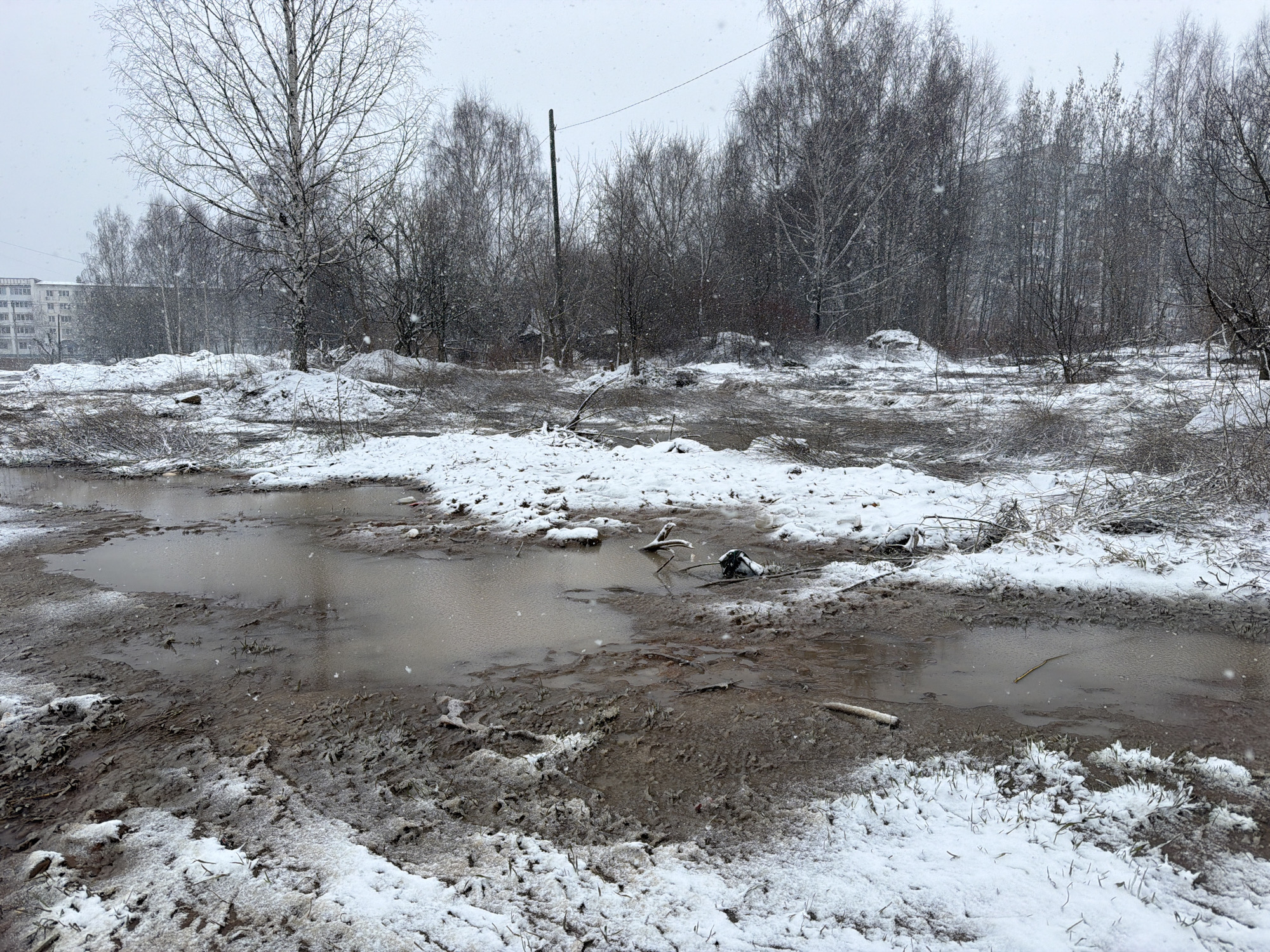 The image depicts a snow-covered and muddy area in the city of Chaikovsky, Russia, during snowfall. A large puddle of water occupies the foreground, reflecting the overcast sky. Patches of snow mix with bare, muddy ground. The background features a line of bare trees and shrubs, with an apartment building visible in the far left. A wooden utility pole stands among the trees. Debris, including twigs and unidentified objects, are scattered around the puddle. There is no evidence of human activity or presence in the immediate scene.