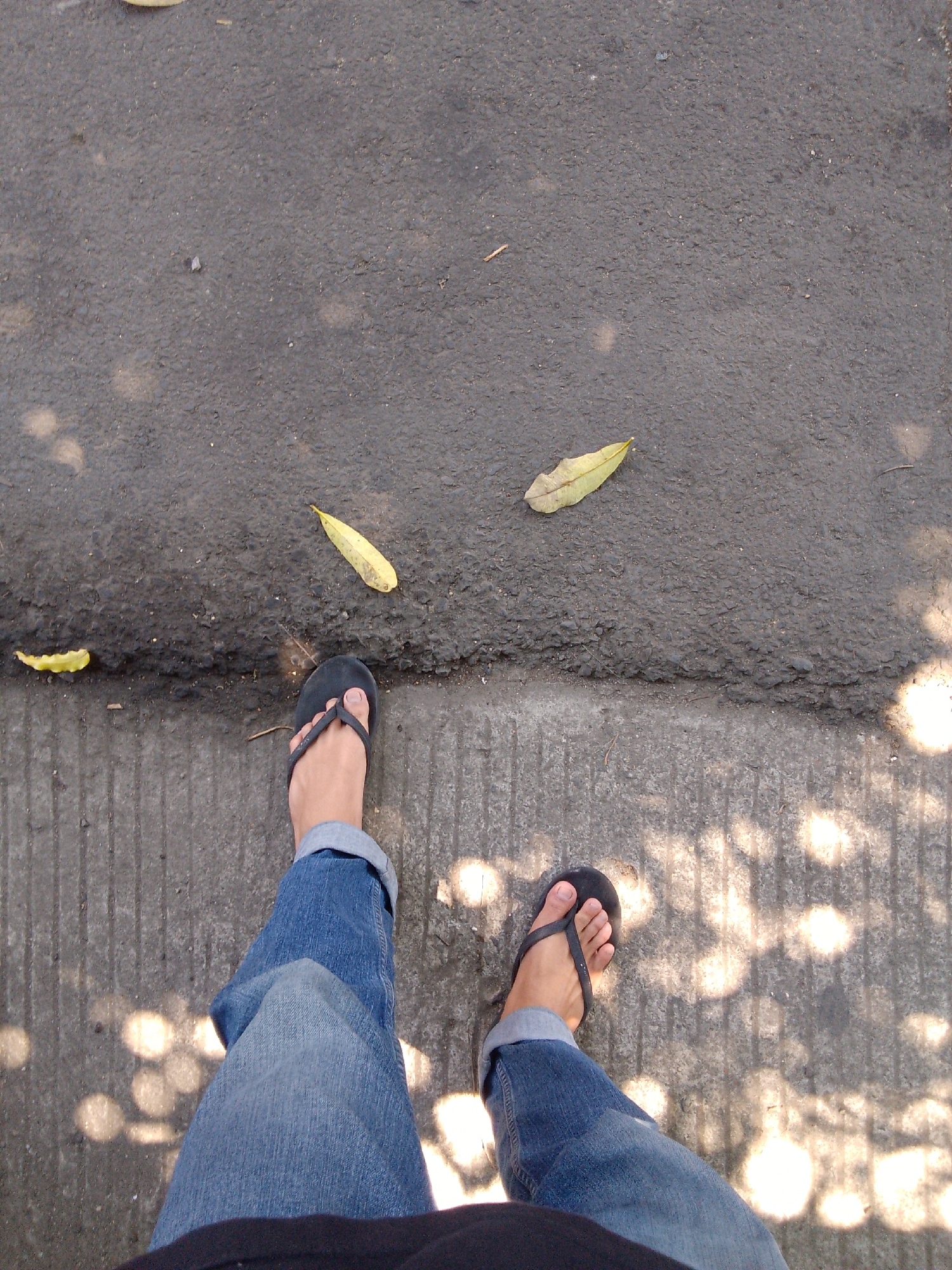 A high-angle, full shot shows a person's legs and feet from the knees down, standing on a paved surface. The ground is divided into two sections: a rough asphalt area at the top of the frame and a concrete sidewalk at the bottom. The asphalt is dark gray with scattered fallen leaves, some yellow and some dry and brown, and dappled sunlight filtering through unseen foliage. The concrete sidewalk is lighter gray, with visible textured lines and also dappled sunlight. The person is wearing blue denim jeans rolled up at the cuffs and black flip-flops. The left foot is slightly angled, and the right foot is positioned forward, suggesting the person is walking or has just stopped. The scene appears to be an outdoor public space, possibly a street or pathway in Trenggalek, Indonesia, given the lighting conditions and foliage.