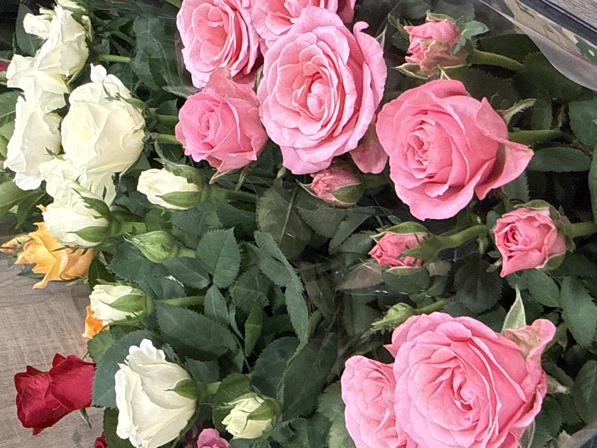 A close-up, eye-level, vertical shot features a bouquet of roses with a variety of colors, including red, yellow, white, and pink. The roses are the primary subjects, with some in full bloom and others as buds. The background is blurred, with hints of a wooden texture. The bouquet appears to be indoors, possibly in a flower shop or at a residence, in the city of Bad Lauterberg im Harz, Germany. No people are visible in the image, and no specific actions or interactions are depicted. The lighting is soft and diffused, highlighting the textures and colors of the roses.