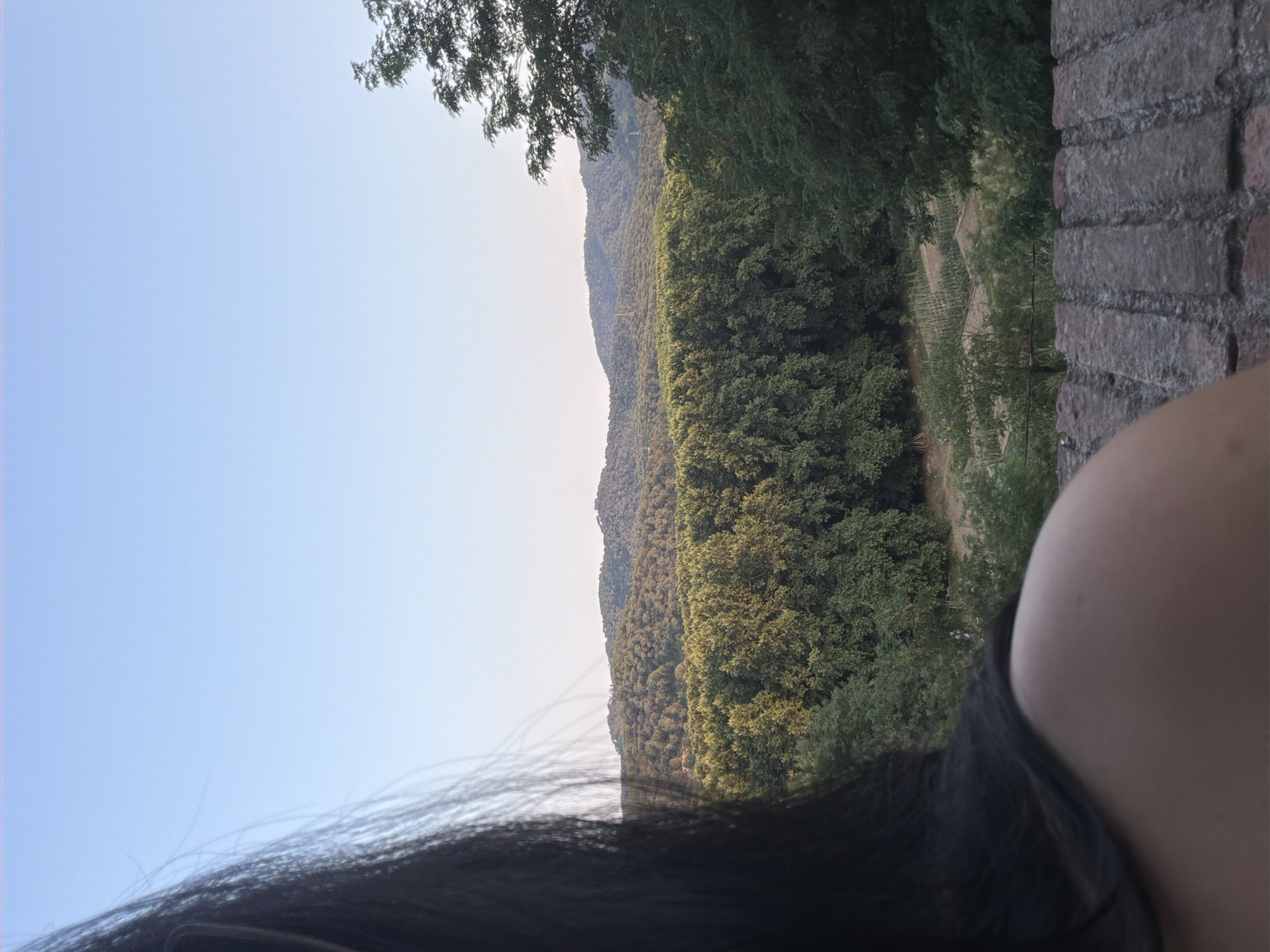 In Hostalric, Spain, a person with dark hair is looking out at a landscape of rolling hills covered in dense green trees. The sky above is a clear, pale blue. In the foreground, the person's shoulder and upper back are visible, with their dark hair falling over their left shoulder. A brick wall is in the lower right corner of the image. Below the tree line, small cultivated fields or gardens are visible, along with what appear to be a few structures, suggesting a rural or semi-rural setting. The overall impression is one of a serene, natural vista observed from a vantage point.