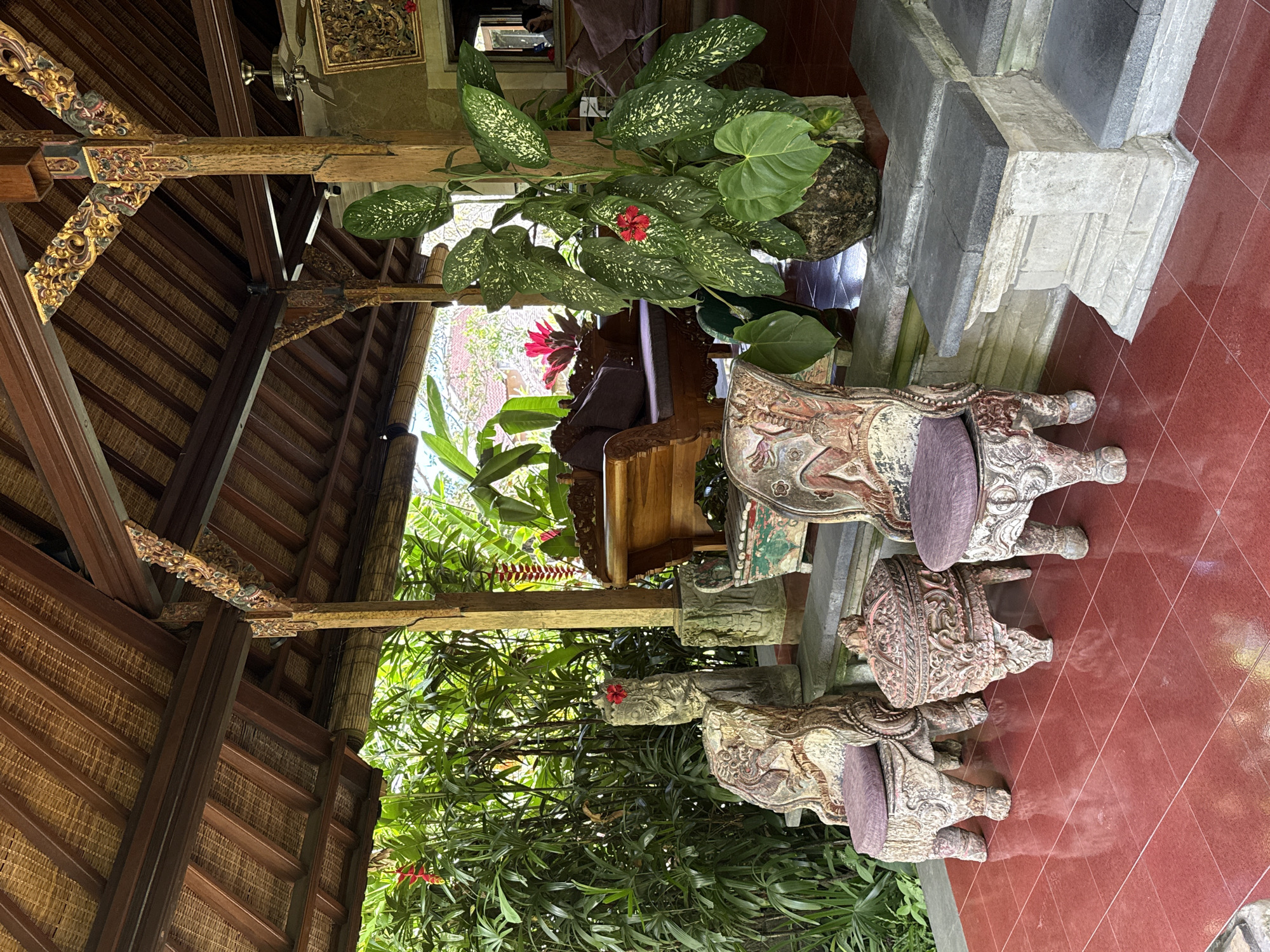 This image captures a serene outdoor seating area, likely a veranda or patio, in Ubud District, Indonesia. The space is characterized by traditional Balinese architecture, featuring a thatched roof supported by intricately carved wooden pillars adorned with gold accents. The floor is tiled in a deep red, reflecting the warm, tropical ambiance.
In the foreground, two ornate, carved wooden chairs with purple cushions are positioned on the red tile floor. Between them sits a carved wooden box, also intricately detailed. To the right of the chairs, a large potted plant with broad, variegated green leaves and a single red flower stands prominently on a stone platform. Behind this, a wooden bench with a dark cushion is visible, nestled against lush green foliage.
The background reveals more of the tropical vegetation, with tall green plants and hanging red flowers, suggesting a garden setting. Sunlight filters through the leaves, casting dappled shadows. The overall impression is one of tranquil, natural beauty, typical of the serene and culturally rich environment of Ubud.