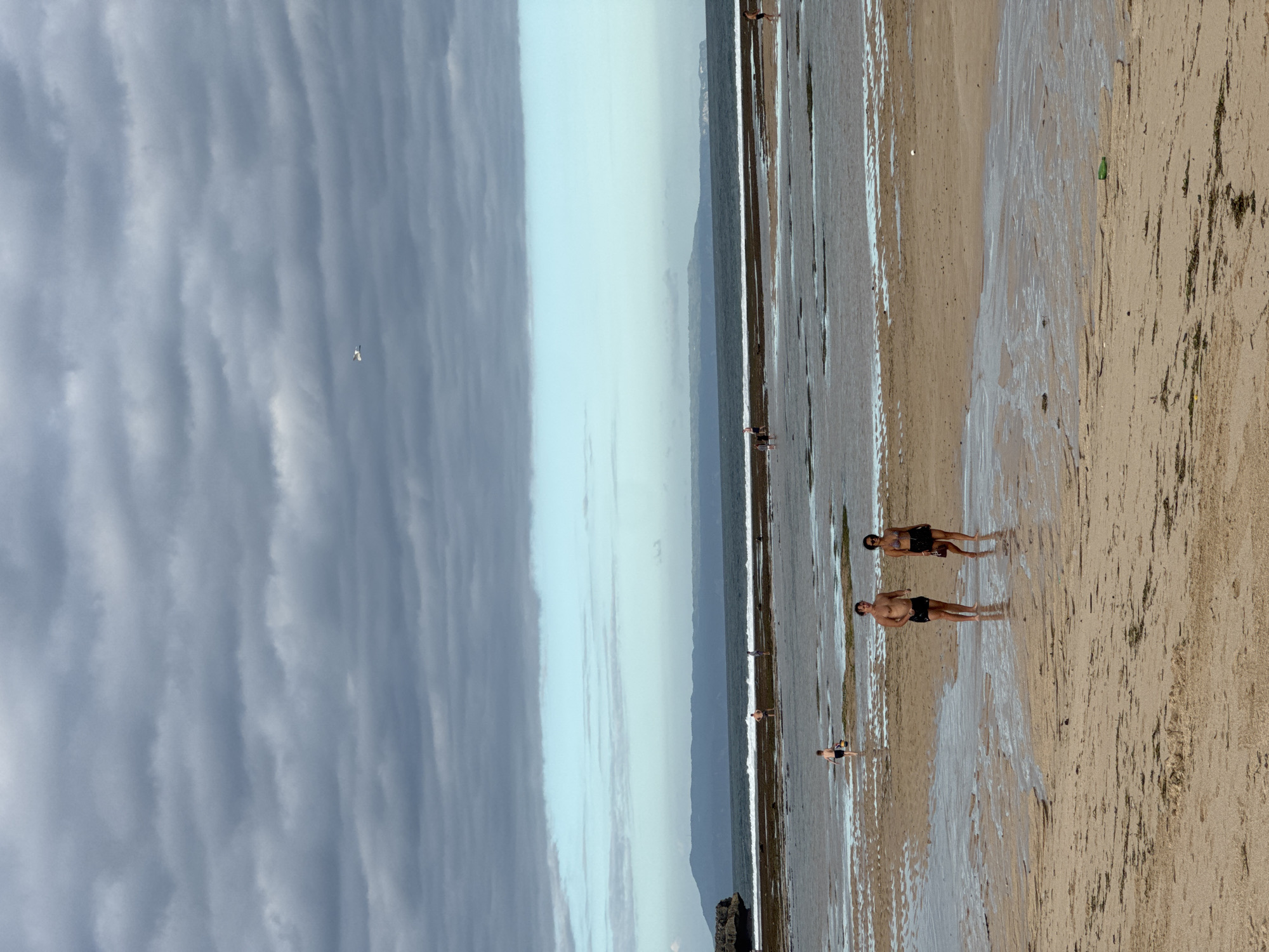 The image depicts a beach scene in Kuta Selatan, Indonesia. The sky is predominantly overcast with heavy, striated clouds on the left side and a lighter, clearer area towards the center. In the background, a strip of land is visible, separated from the sky by a distinct horizon.
The beach occupies the majority of the lower half of the image. The foreground sand is dark and mottled with what appears to be seaweed or organic debris. A wet stretch of sand, reflecting the sky, divides the foreground from the ocean. Several people are present on the beach. Two men, wearing dark swimwear, are standing in shallow water. Further away, other figures are scattered along the shoreline. The ocean is calm with small waves breaking on the shore. The lighting is somewhat diffused, suggesting an overcast day.