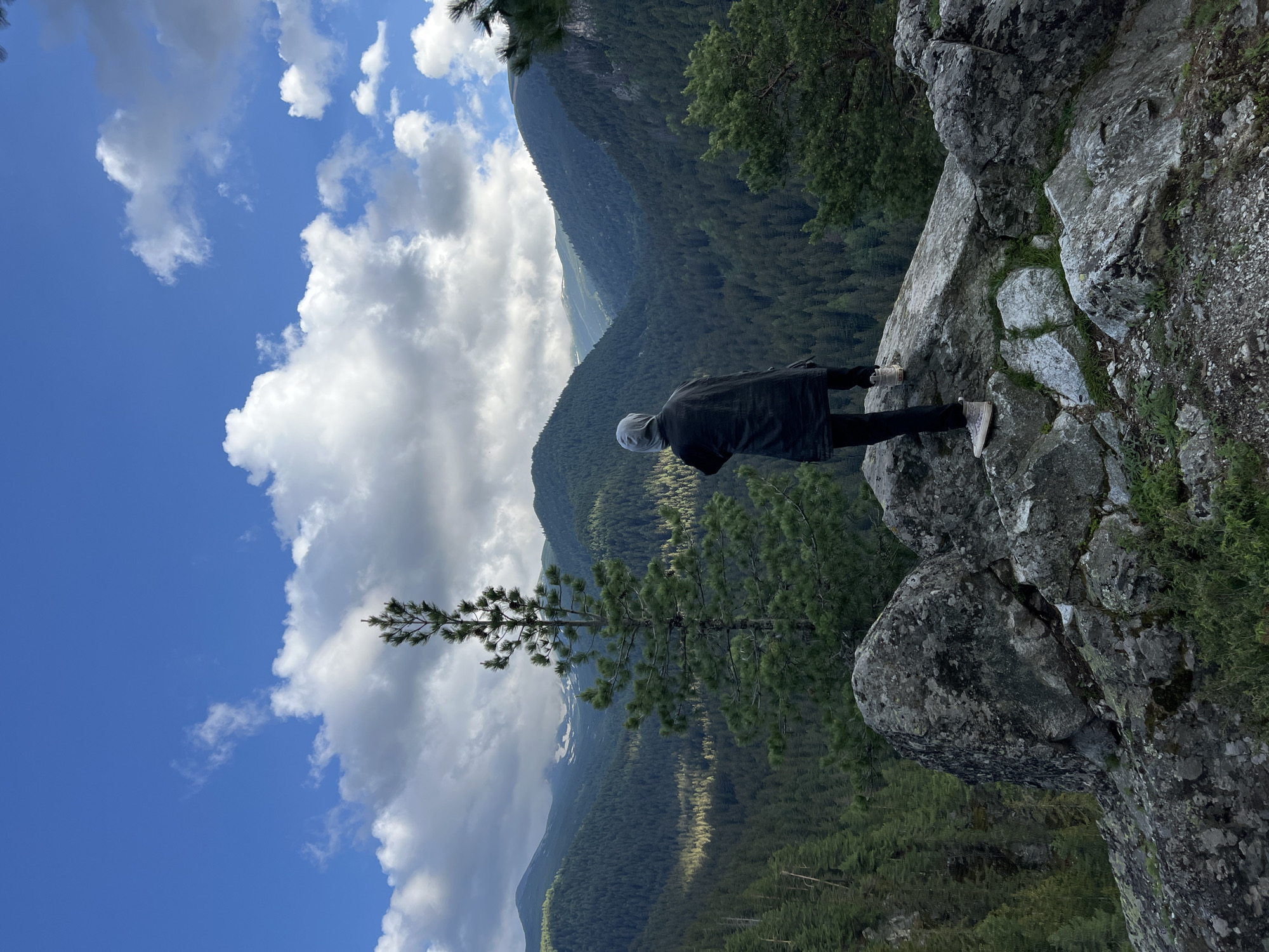 A lone person stands on a rocky outcrop, facing a vast, forested mountain valley under a cloudy blue sky. The person, wearing a dark hooded jacket and dark pants with light-colored shoes, is seen from behind, their head tilted slightly upwards as if contemplating the view. The foreground is dominated by large, grey, moss-covered rocks. A tall, slender pine tree stands to the left of the person, its silhouette sharp against the dramatic sky. The background reveals layers of densely packed evergreen trees carpeting the slopes of the mountains, with hints of snow-capped peaks in the far distance. The sunlight casts shadows and highlights across the valley, suggesting a dynamic and possibly changing weather pattern. The scene evokes a sense of solitude and awe in a natural, mountainous landscape.