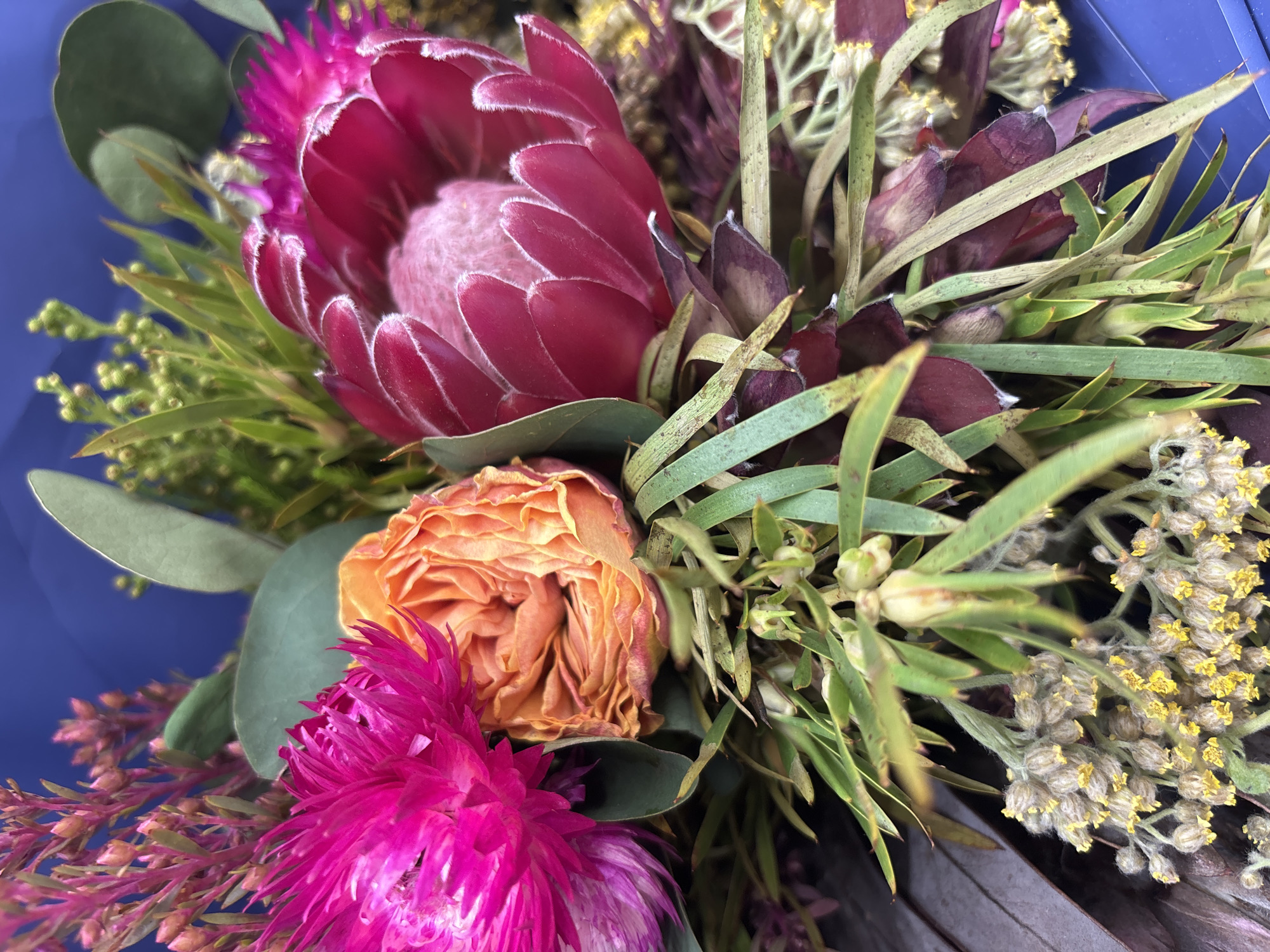 The image shows a close-up view of a bouquet of flowers against a blurred blue background. The bouquet contains several distinct types of flowers and foliage. Prominently featured is a large, fuchsia-colored Protea flower with feathery white edges on its petals. To its left, a bright pink, spiky flower, possibly a strawflower, is visible. In the center, there is a ruffled, orange rose with many layers of petals. Interspersed throughout the bouquet are various green leaves and stems, including some long, slender eucalyptus leaves. Smaller clusters of yellow, bud-like flowers are also present, along with some dried, reddish-purple foliage. The overall impression is of a vibrant and textured floral arrangement. The location is not discernible from the image.