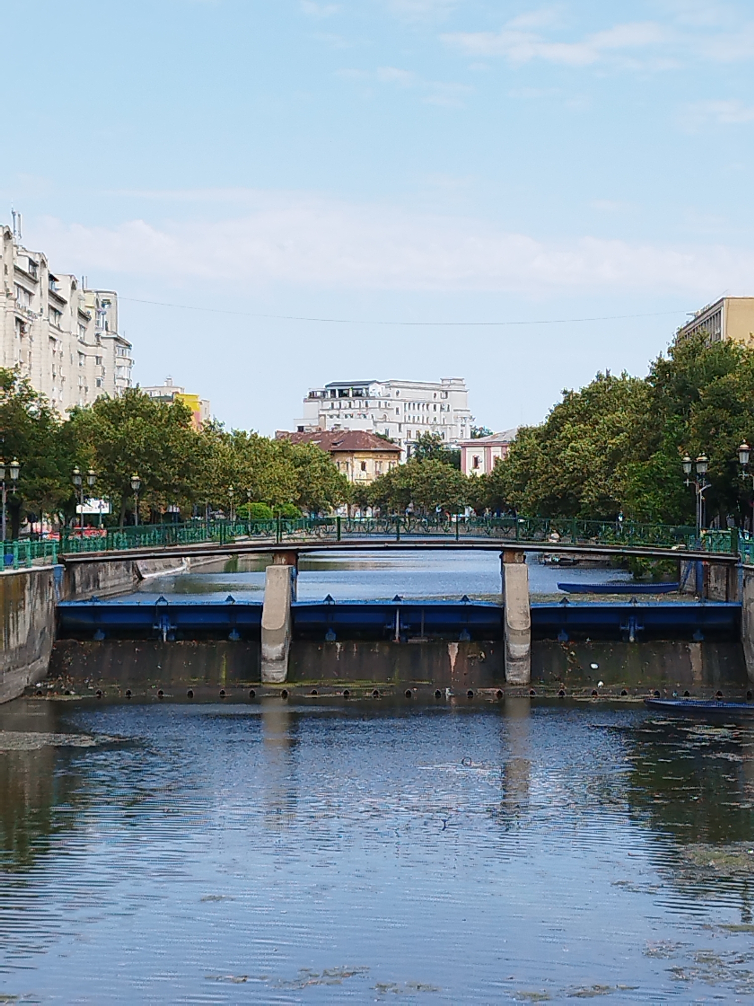 The image depicts a scenic view of the Dâmbovița River in Bucharest, Romania, looking towards a bridge and a dam. On the left, a multistory building with a light-colored facade is visible, indicative of urban architecture. The right side of the river features trees and another building. A pedestrian bridge with a green railing spans across the river, with lampposts lining its walkway. Below the pedestrian bridge, a dam structure is present, painted in a striking blue color, with concrete supports. The river itself is wide and reflects the blue sky and surrounding structures. Debris and vegetation are scattered on the surface of the water and along the banks, suggesting a somewhat untended urban waterway. The sky is a clear light blue with a few wispy clouds. The overall impression is of a city scene with a prominent water feature and architectural elements.