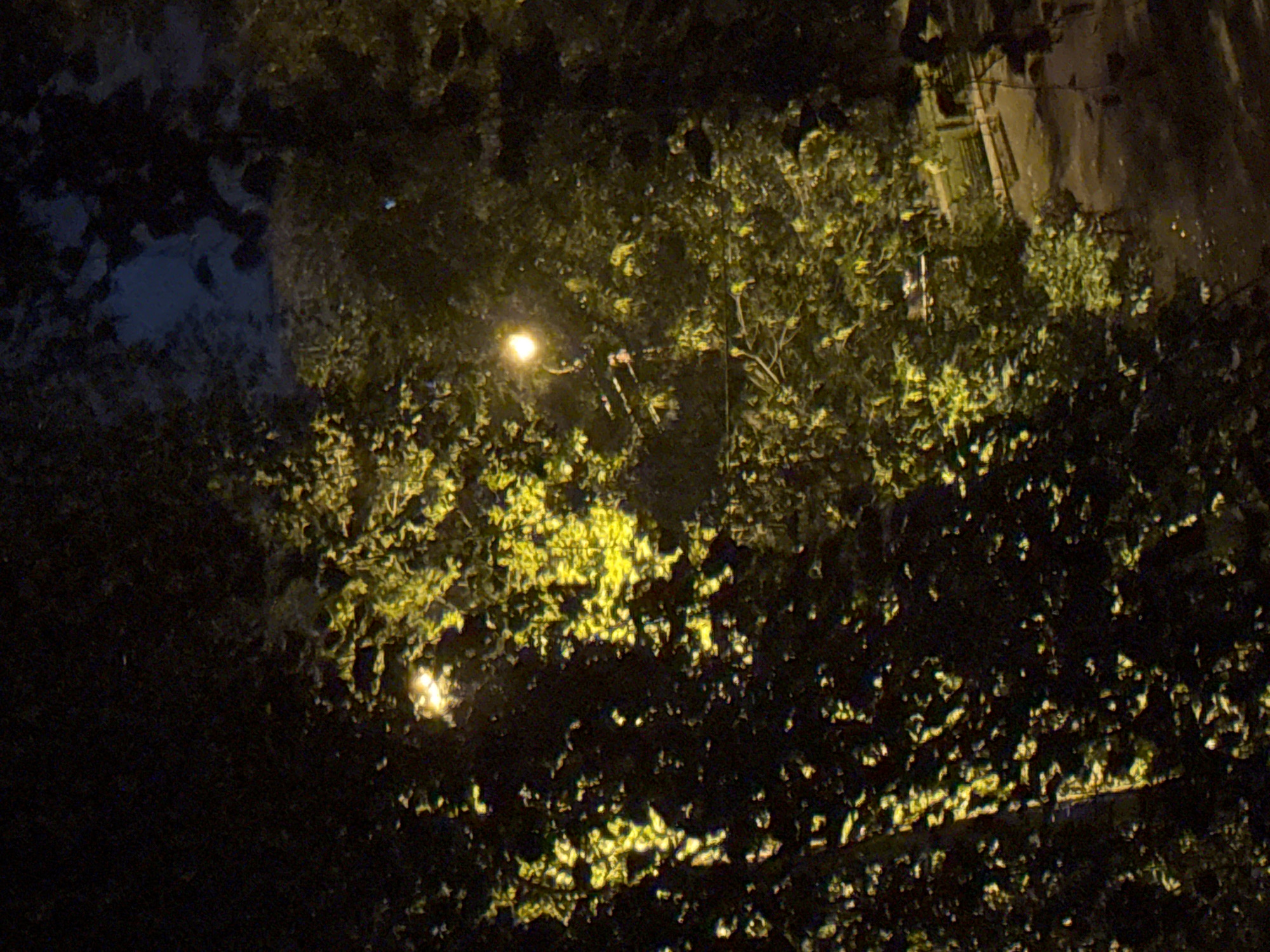 This is a nighttime, vertical, medium shot of a streetlamp illuminating a cluster of trees and a portion of a walkway. The streetlamp is a bright white orb situated in the middle-right of the frame. The trees are dense, with dark branches and leaves. The leaves on the right side of the frame are brightly lit with a yellow hue from the streetlamp, creating a dappled effect. The walkway is visible in the lower right quadrant of the image, appearing to be made of dirt or asphalt, with some scattered light reflections. The overall atmosphere is dark and somewhat mysterious due to the low light conditions. It is not possible to determine the specific location within Chelyabinsk, Russia from this image.