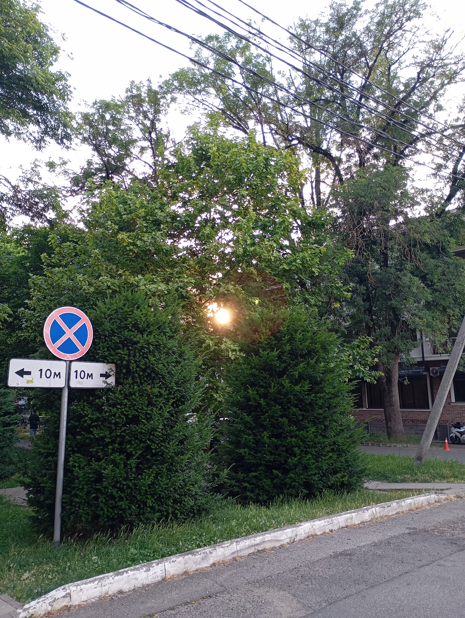 In Goryachiy Klyuch, Russia, a street scene unfolds with lush green trees dominating the frame. Sunlight filters through the dense foliage, creating a bright, sun-dappled effect. A traffic signpost stands prominently, featuring a circular "no parking" symbol and two directional signs indicating "10m" to the left and "10m" to the right. These signs suggest parking restrictions in either direction. The road is visible in the foreground, bordered by a grassy verge and a concrete curb. Behind the trees, a building with a brick facade and dark windows is partially visible. A utility pole stands to the right of the building, and further down the street, a white motorcycle and an orange traffic cone are present. The sky is overcast.